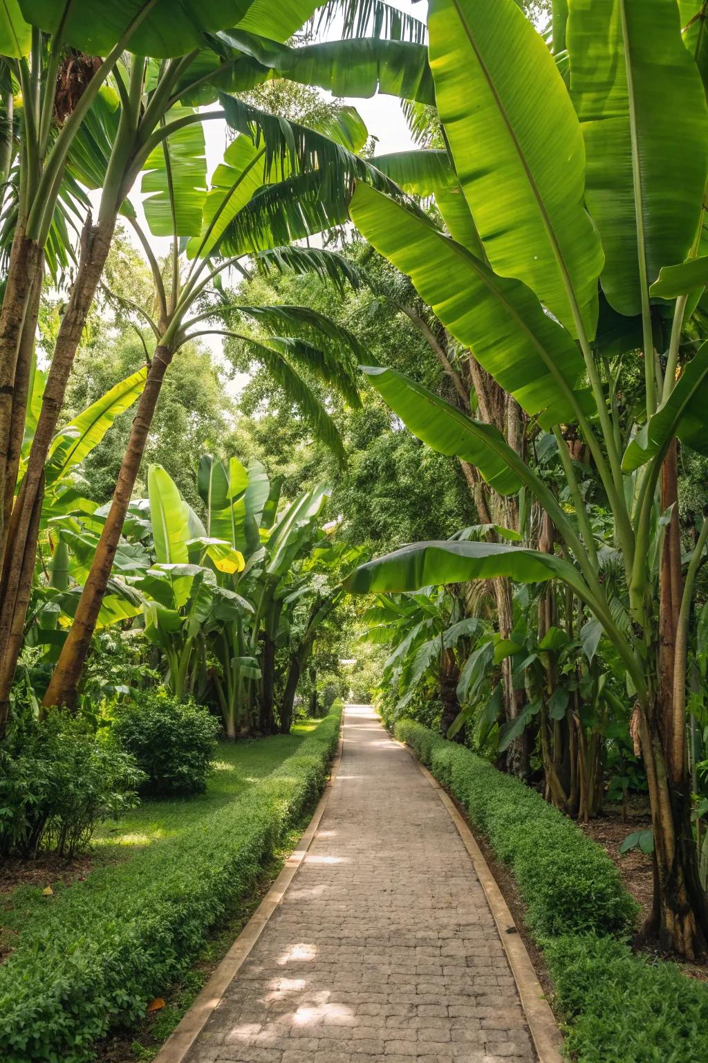 Design an unforgettable entrance with a banana tree-lined garden path.