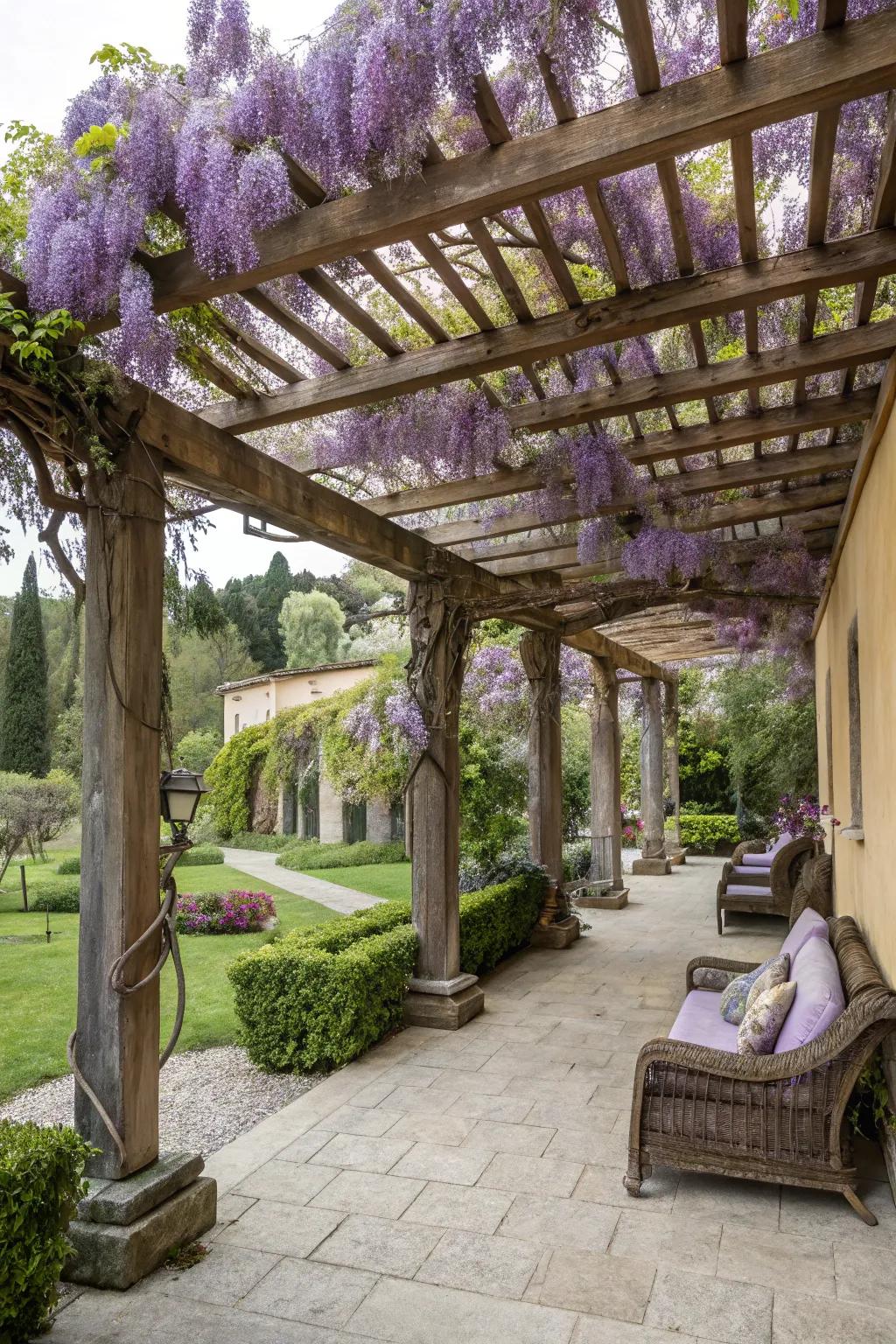 A wooden pergola covered in wisteria creates a sophisticated shaded area in the courtyard.