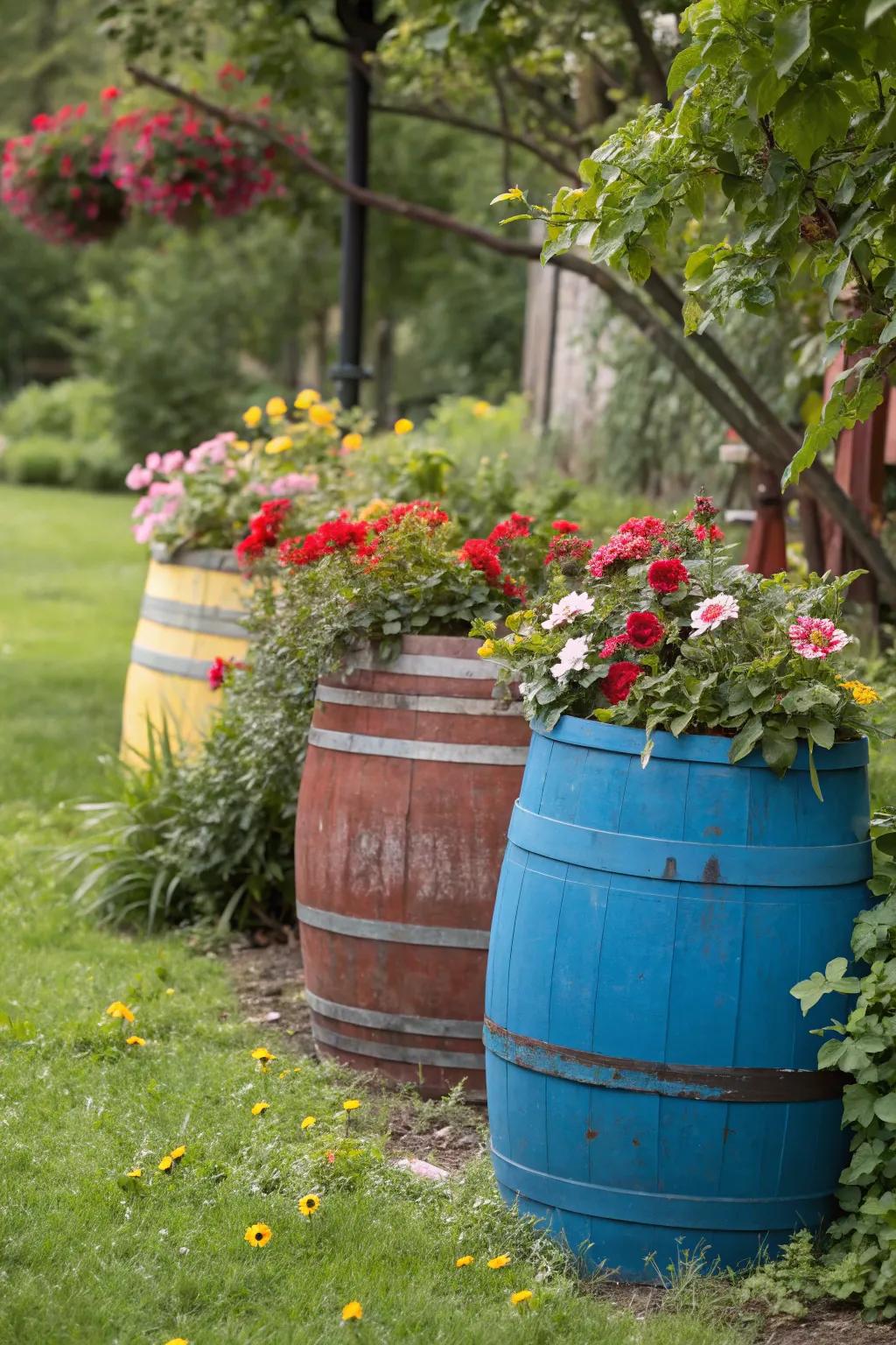 Vibrantly painted barrels serving as garden planters