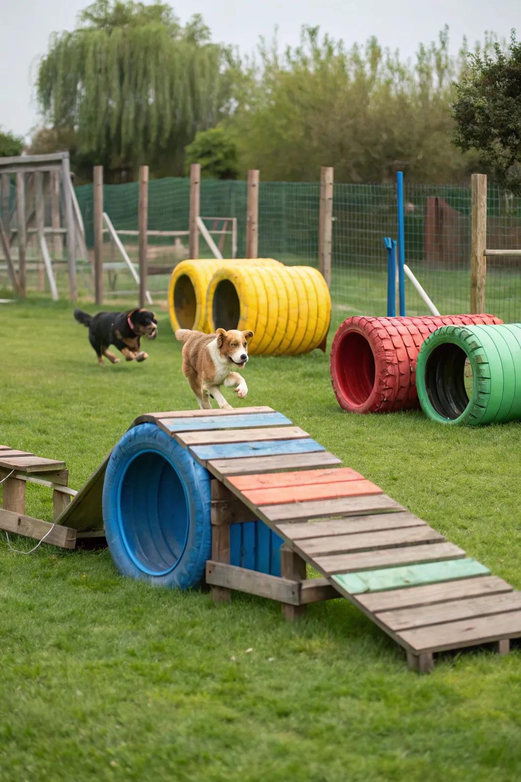 An engaging DIY agility area constructed from cost-effective materials.
