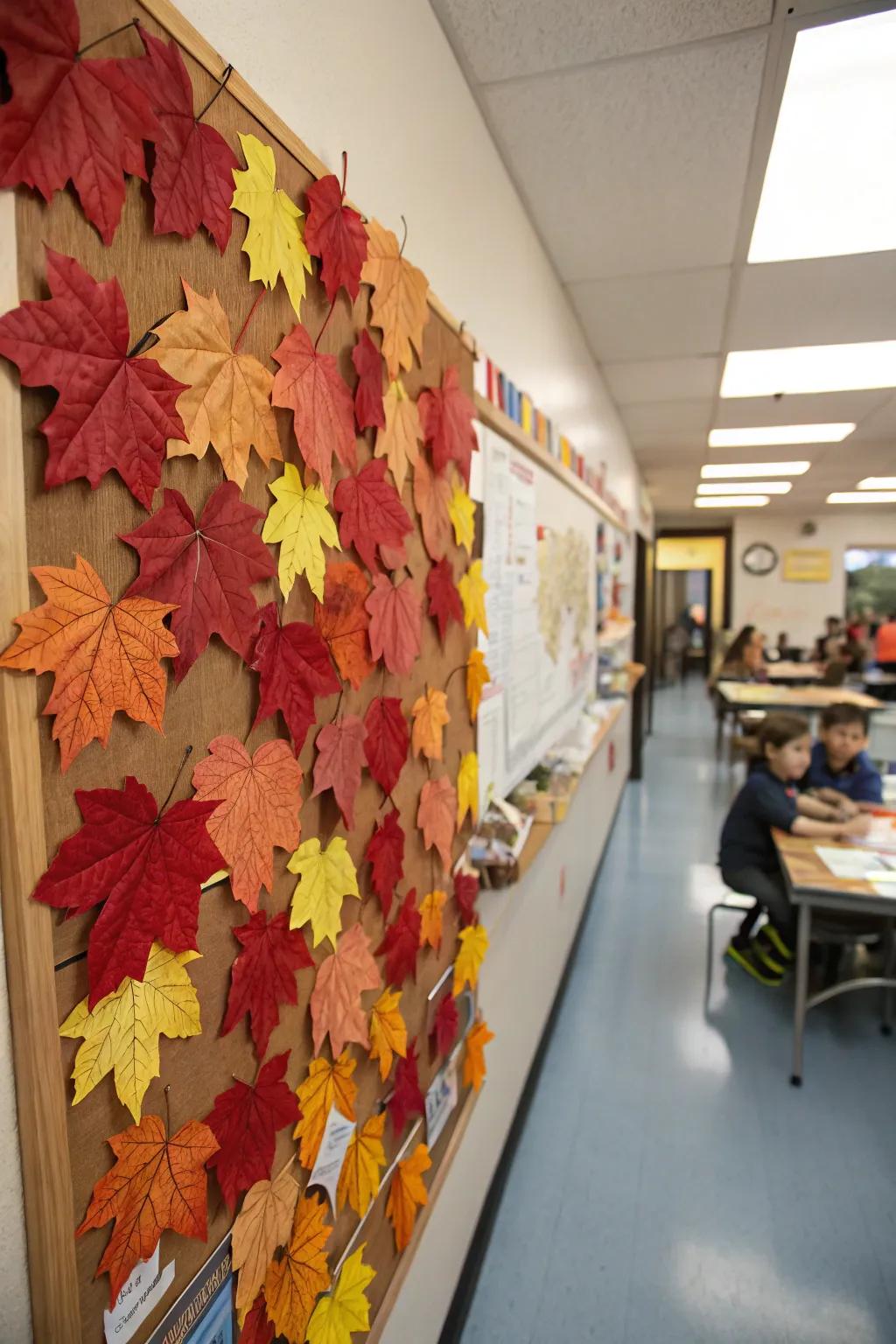 A bulletin board showcases an array of lively autumn leaves.