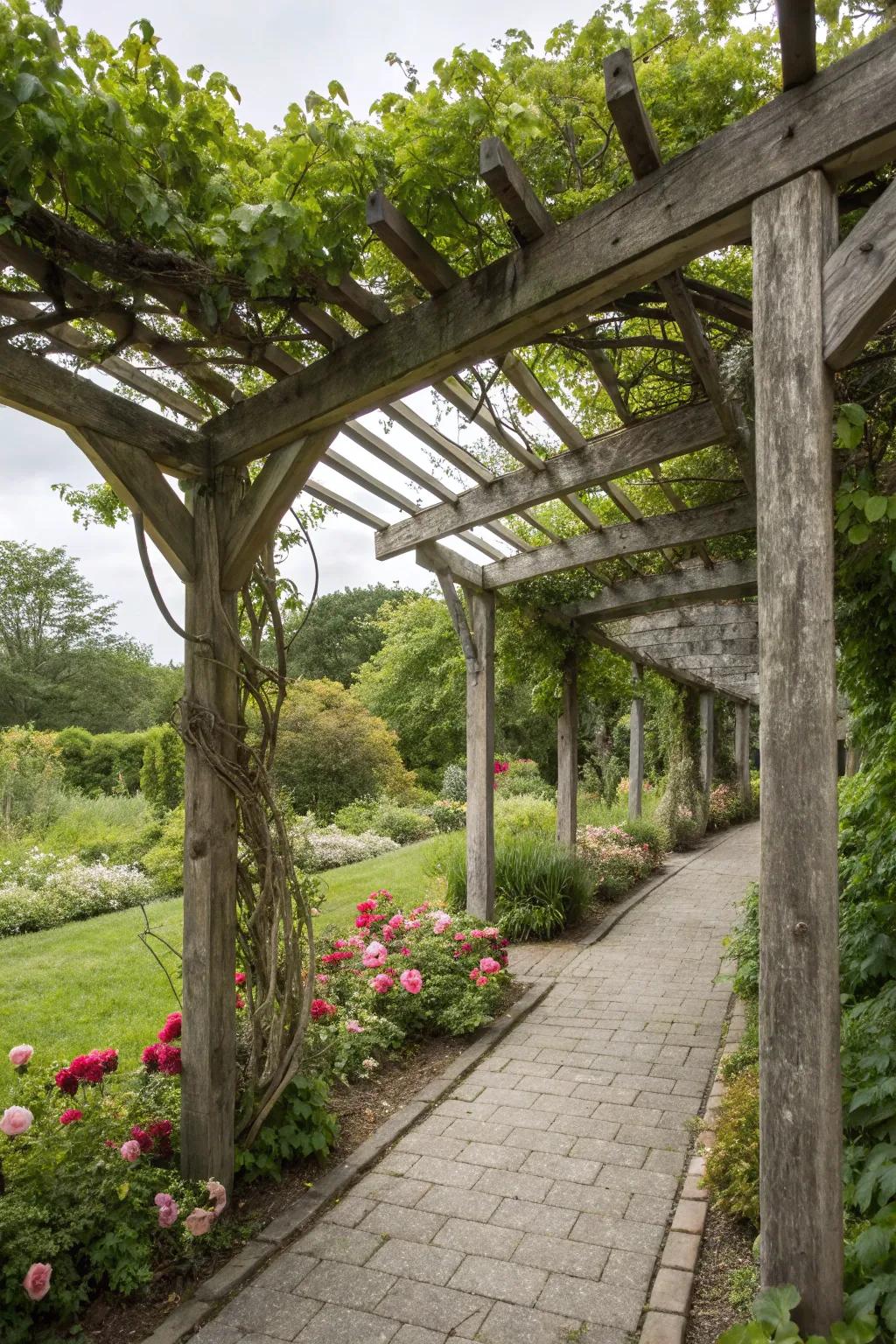 A traditional timber shelter decorated with flourishing climbing plants.