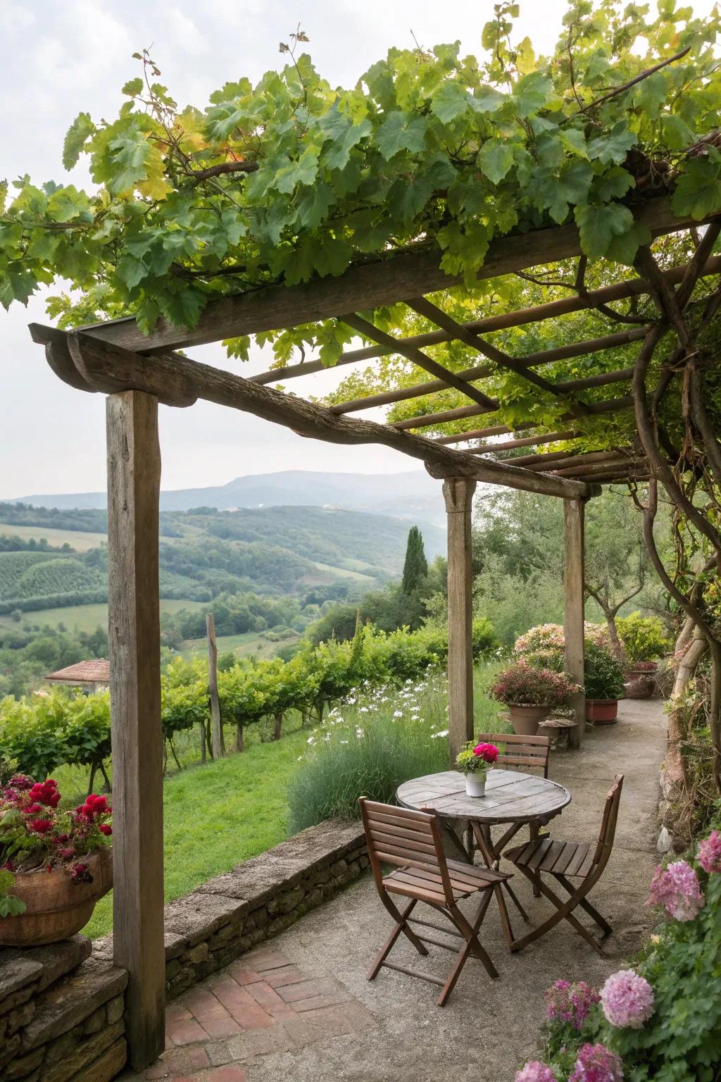 A timber pergola covered in climbing plants forms a shaded space perfect for relaxation.