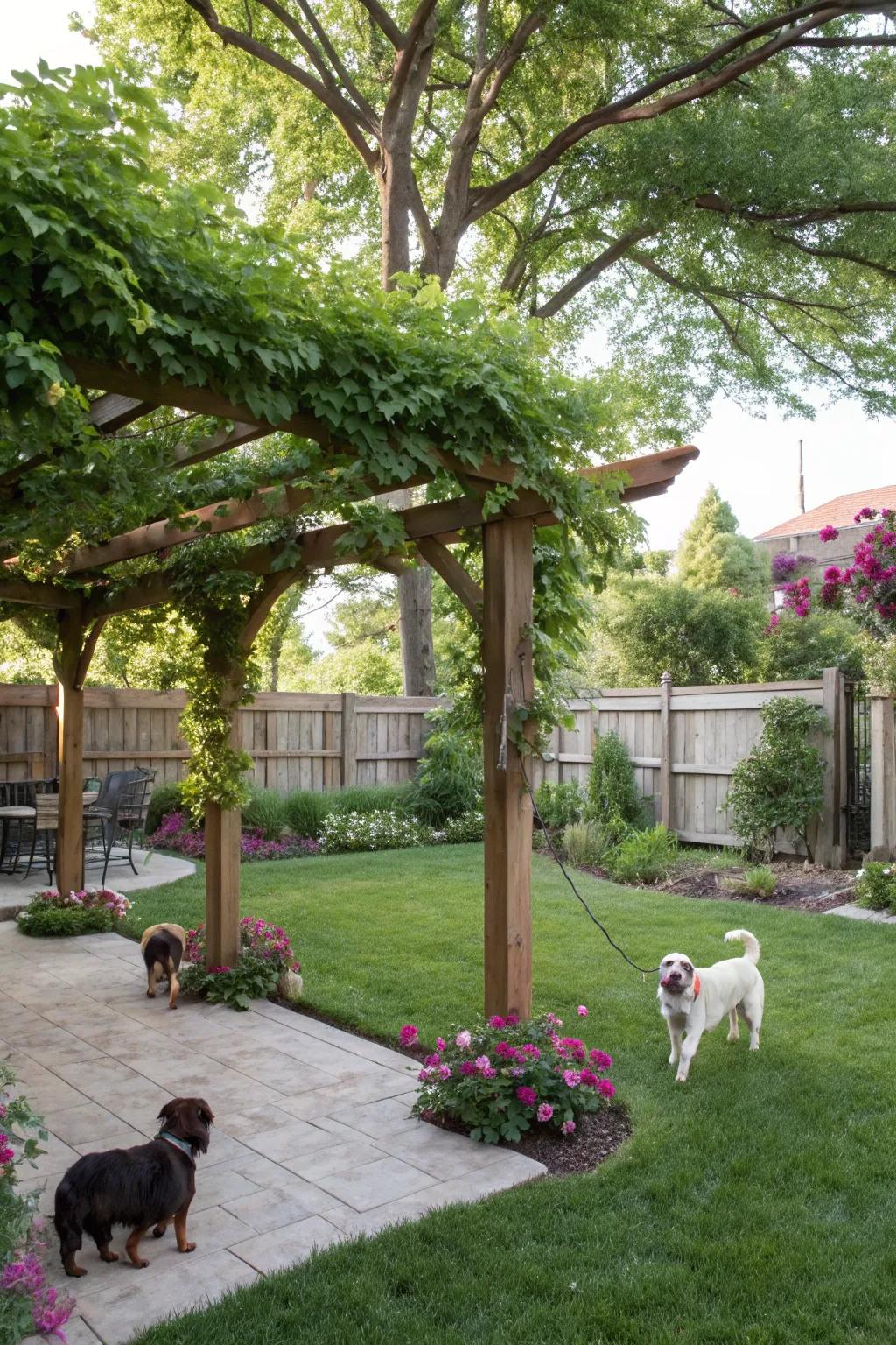 A cool, shaded spot for pets and owners, featuring a pergola surrounded by green plants.