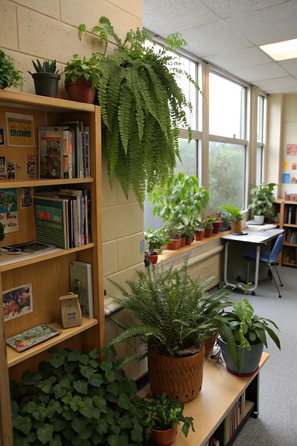 Lush plant life cultivates a revitalizing and welcoming classroom setting.