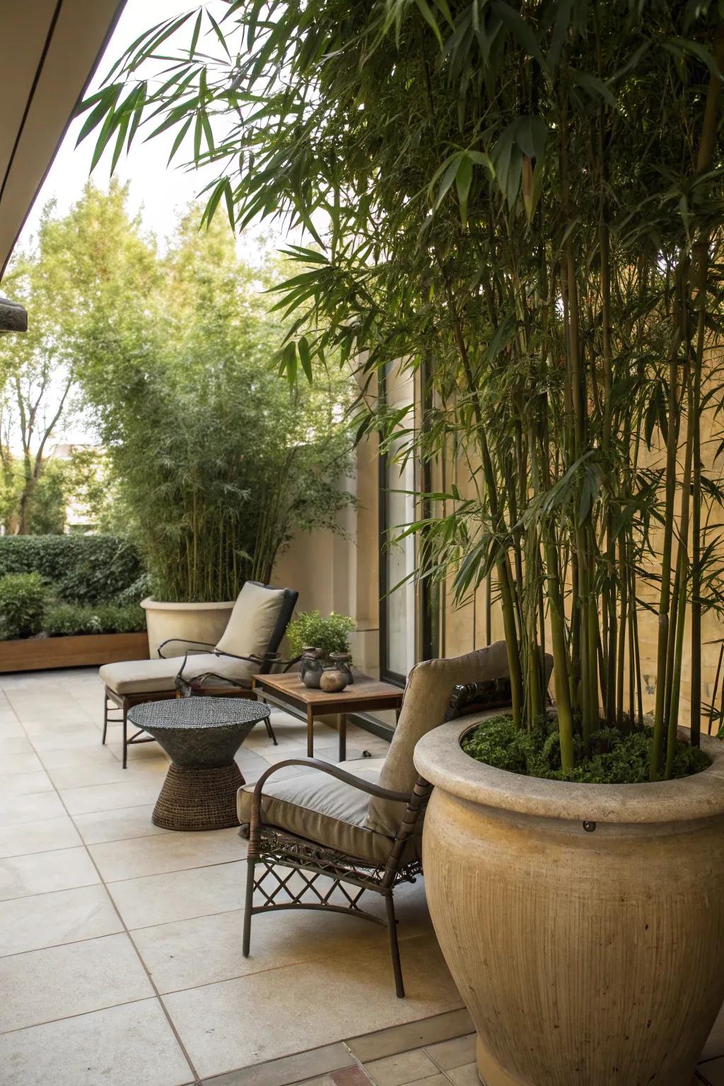 Design a comfy seating area using verdant stalks for natural shade.