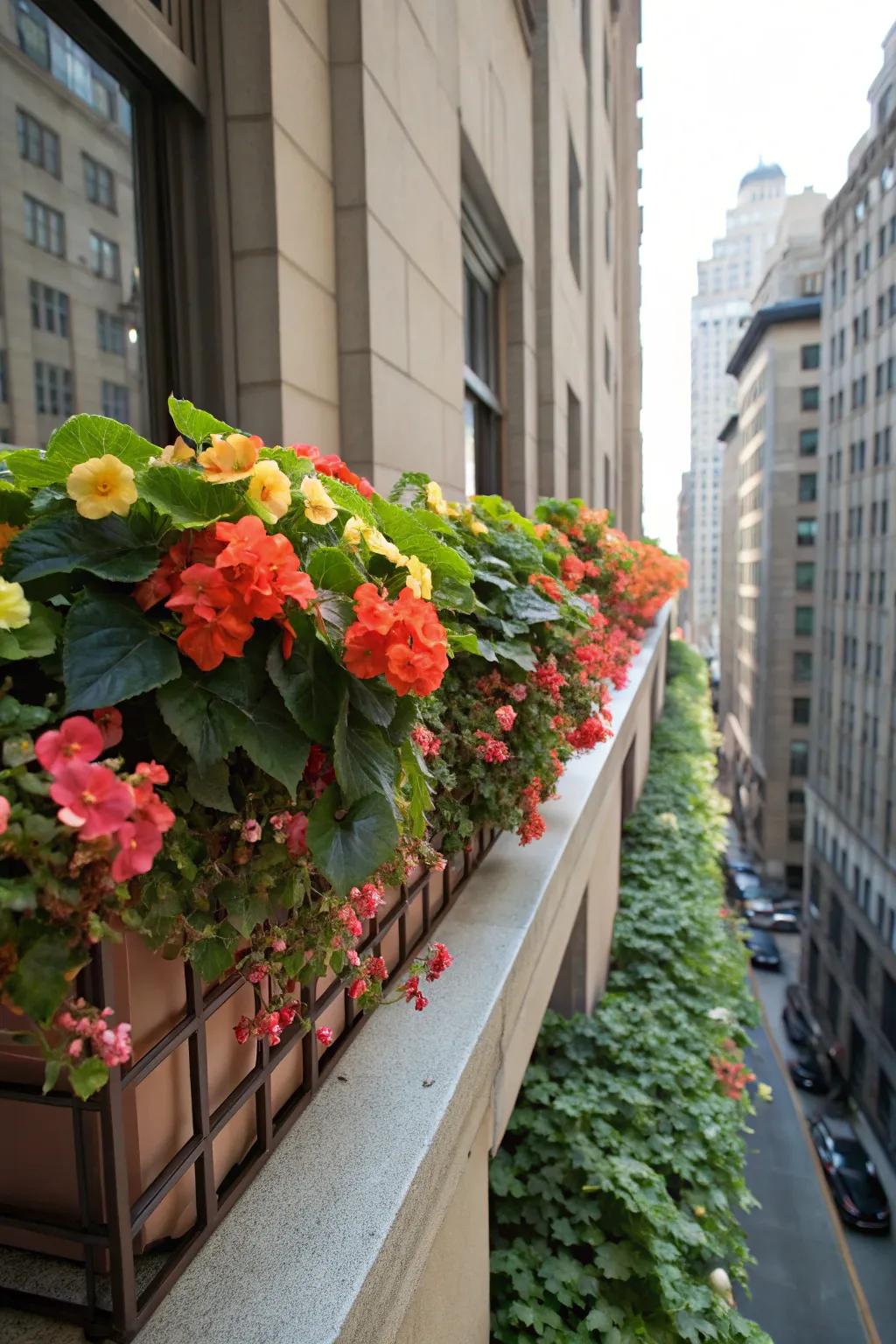 Blossoms contribute vivid splashes of color to shaded window boxes.