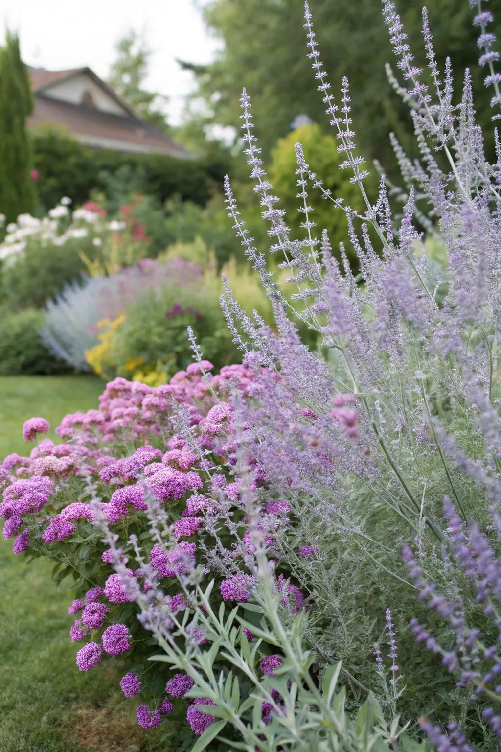 Russian sage and flutterby plant provide a mesmerizing layered aesthetic.