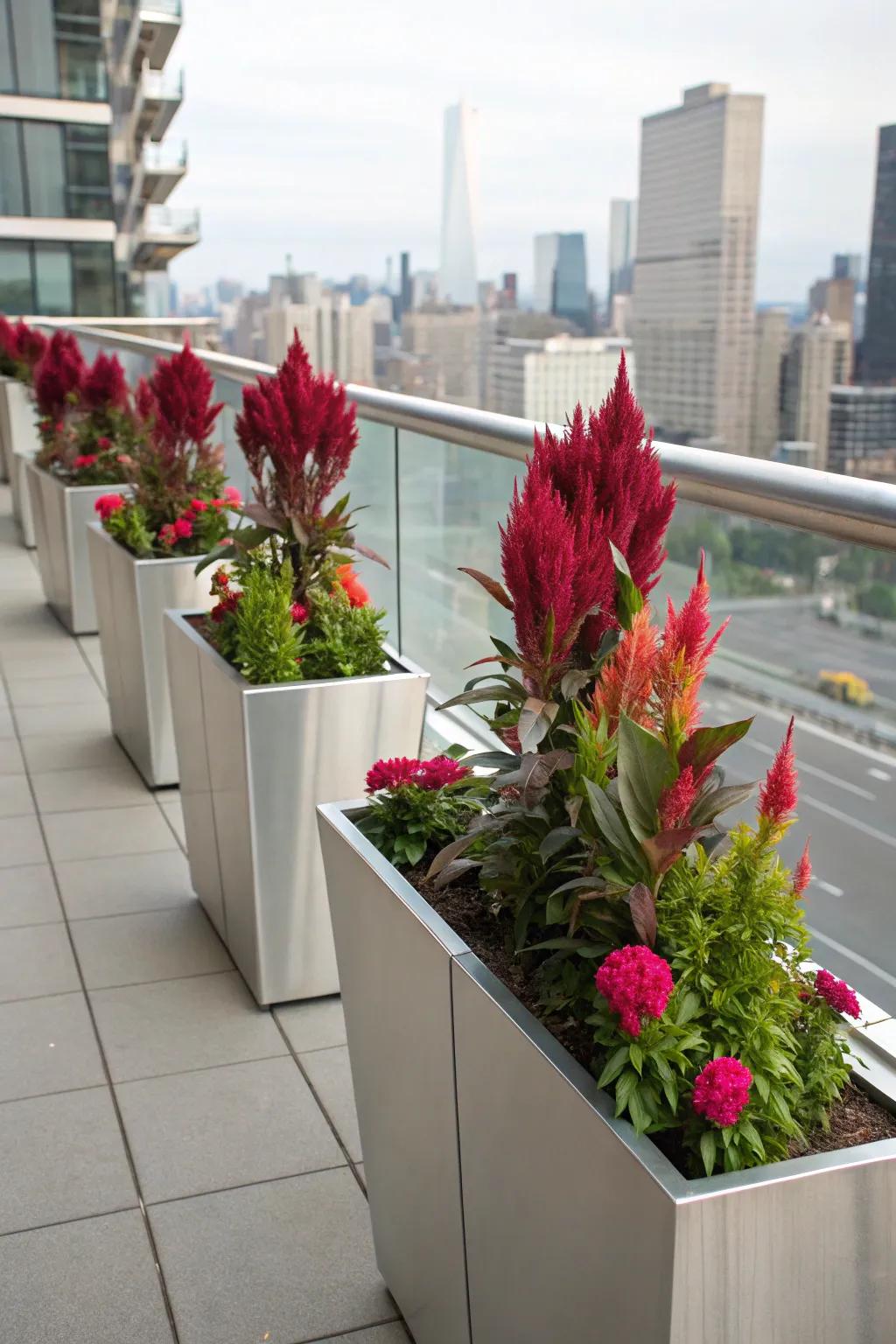 Metallic accents bring a modern flair to celosia.