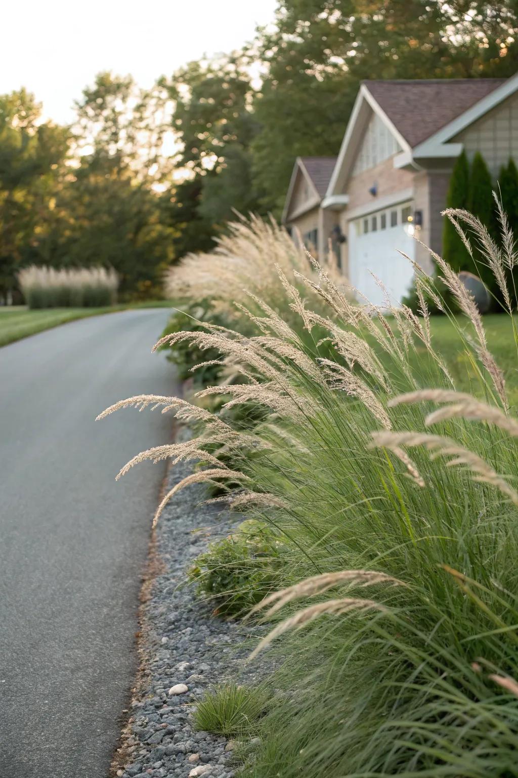 Ornamental grasses contribute movement and a hint of elegance.
