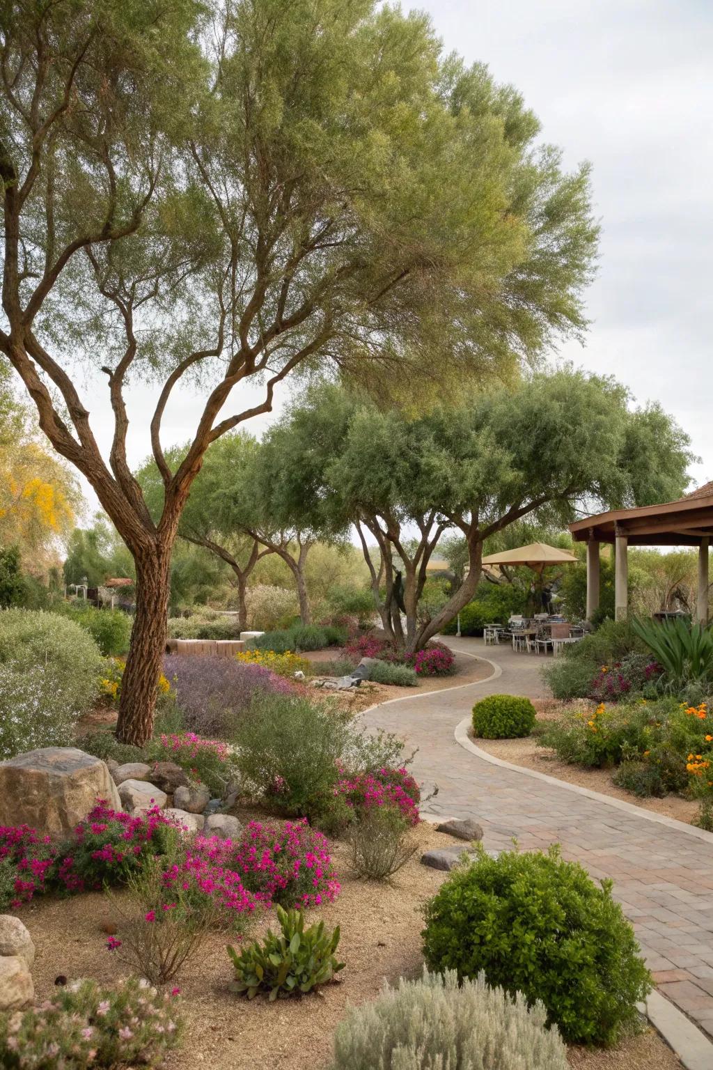 Trees that require less water offer beauty and practicality while minimizing water consumption.