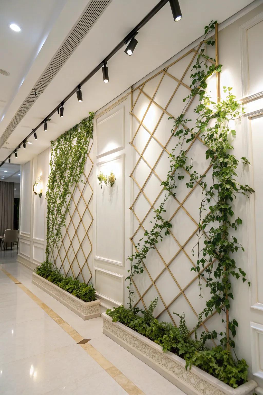 An indoor ivy trellis wall adding structure and elegance to the space.