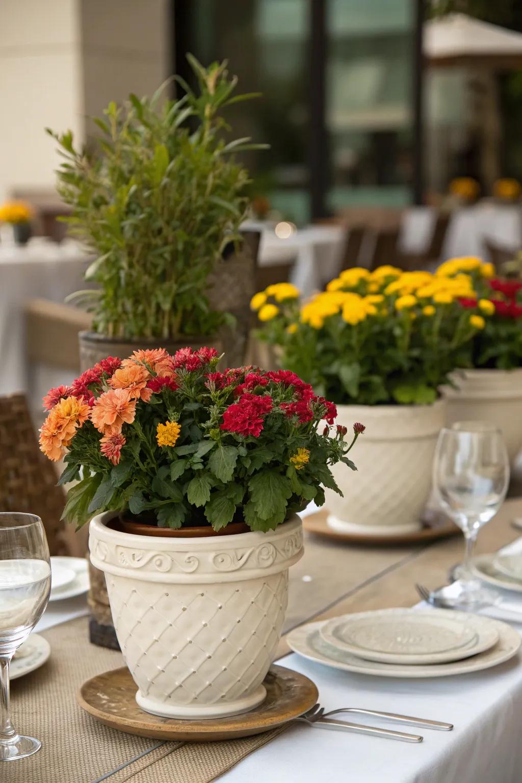 A vibrant centerpiece showcasing radiant flowering plants.