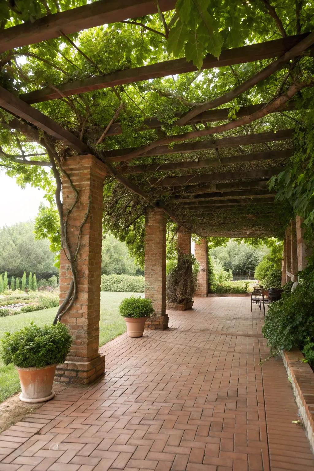 An overhead frame with vines fashions a natural canopy above the patio