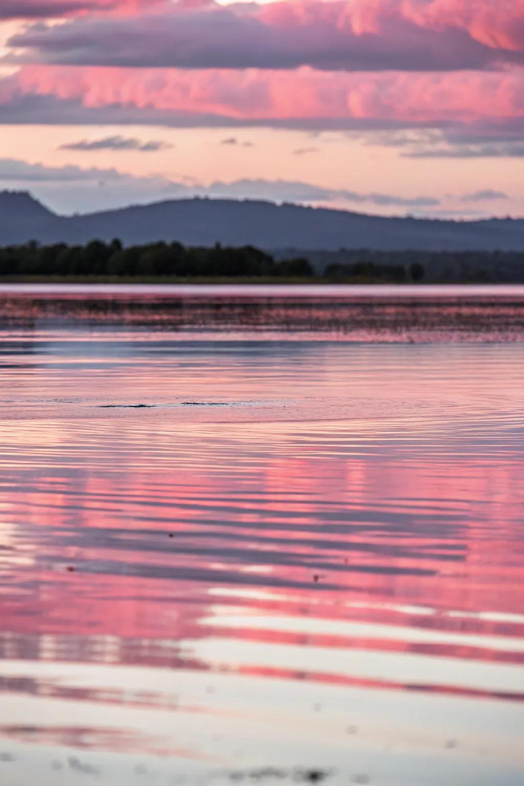A tranquil painting of light pink images reflecting on still water.