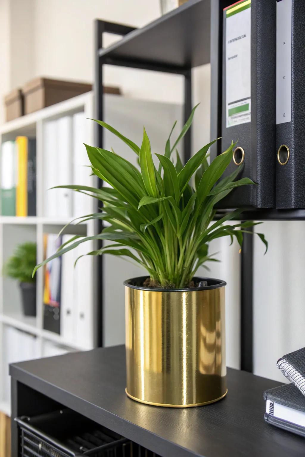 Gilded plant vessels introduce natural elements and elegance to your workspace.