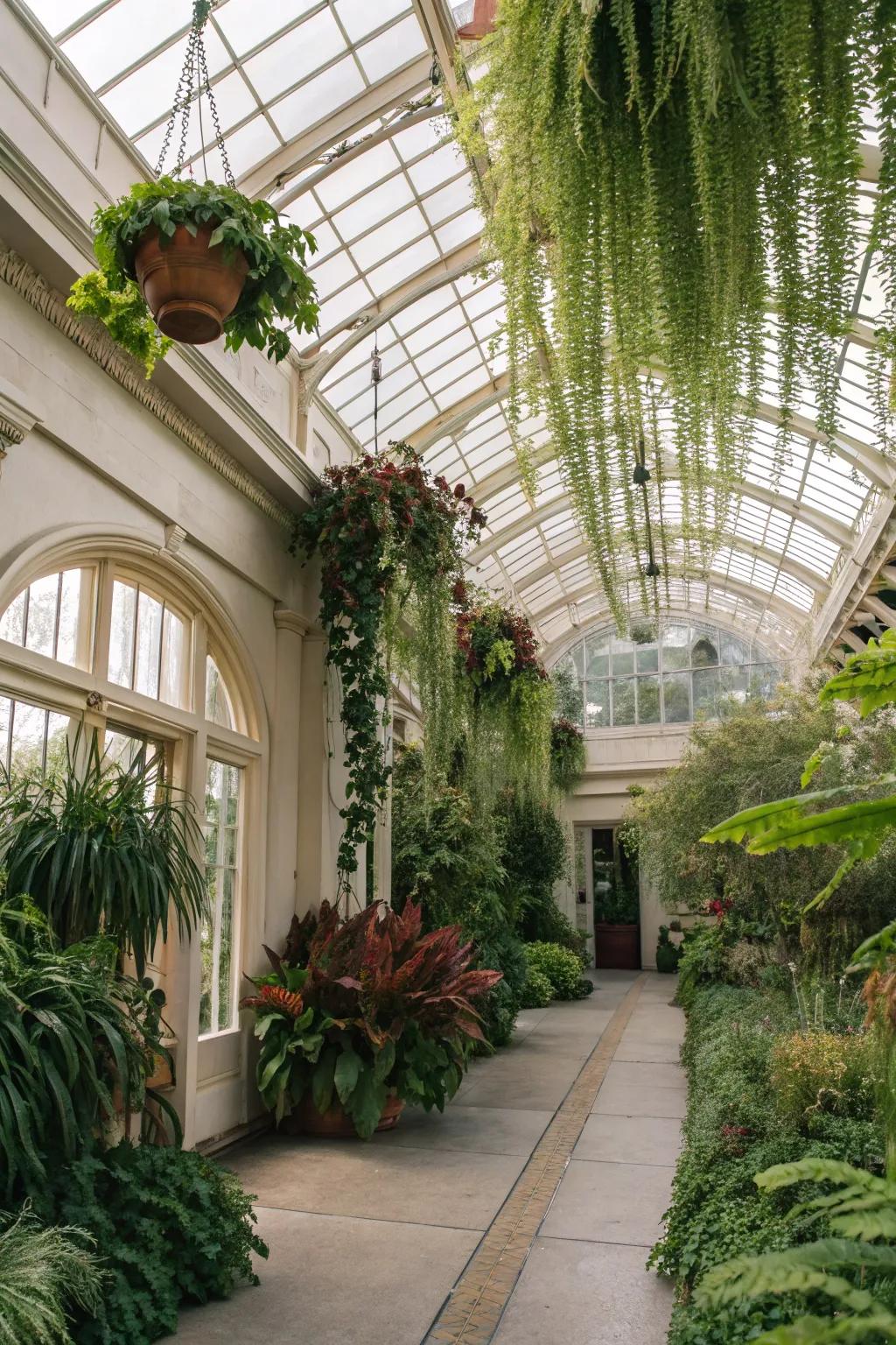 Suspended plants incorporating a whimsical touch to a conservatory.