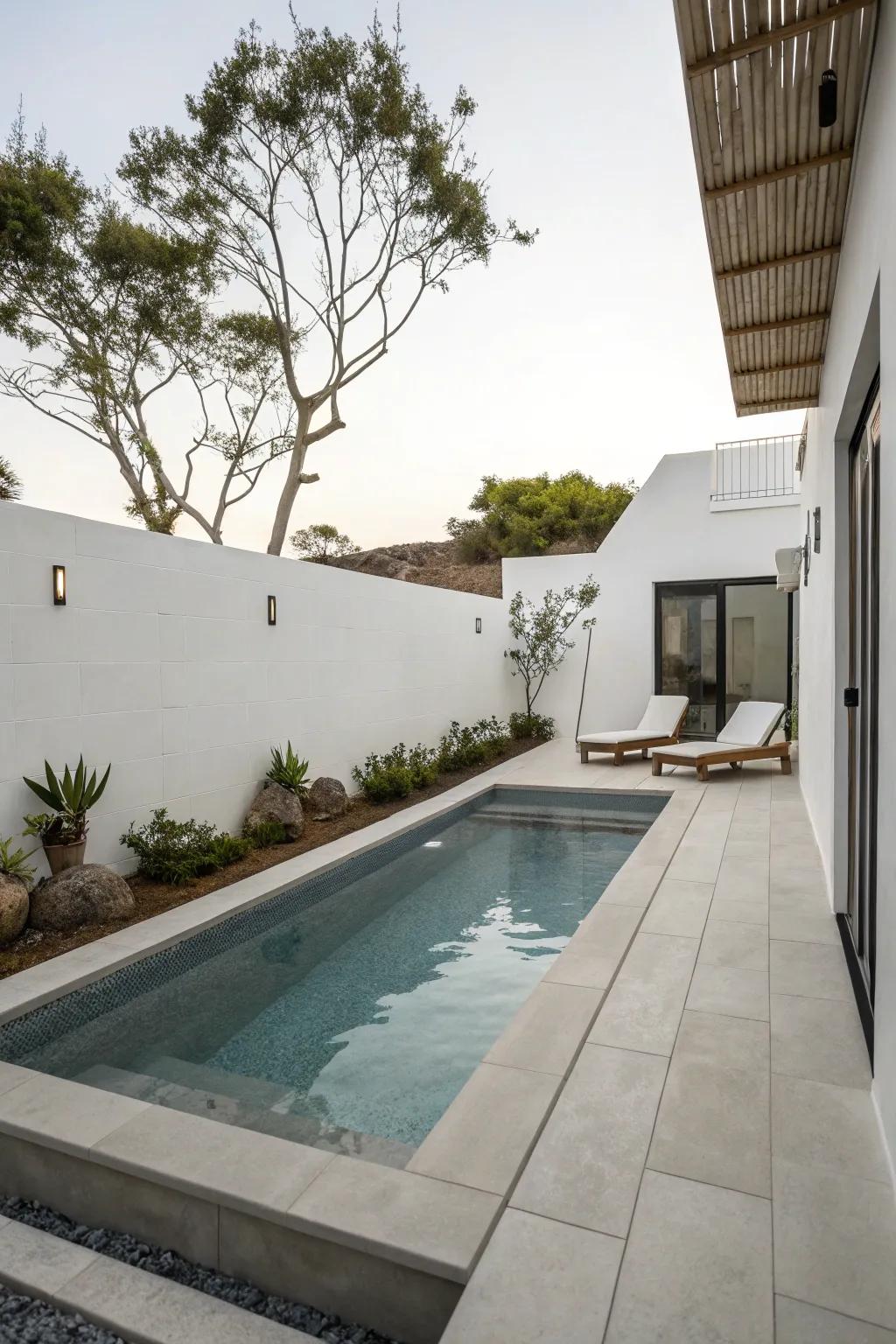 A simple dipping pool for a contemporary backyard.