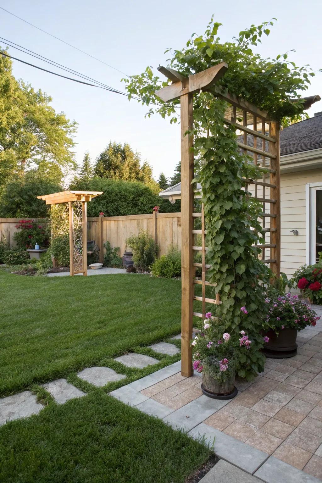 A wooden trellis supporting climbing plants, adding height and visual appeal.