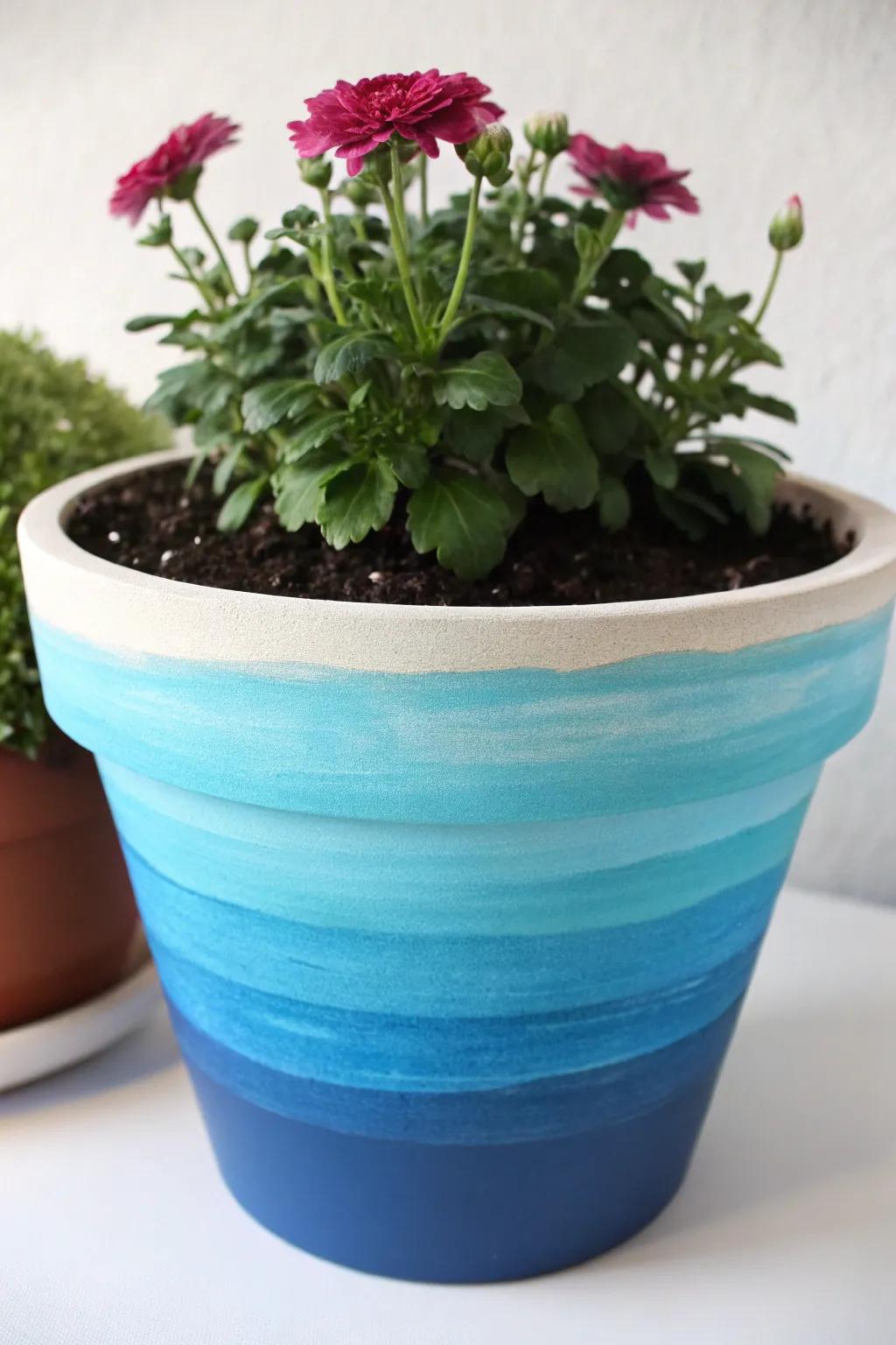 A flower pot exhibiting a stunning gradient pigment effect.