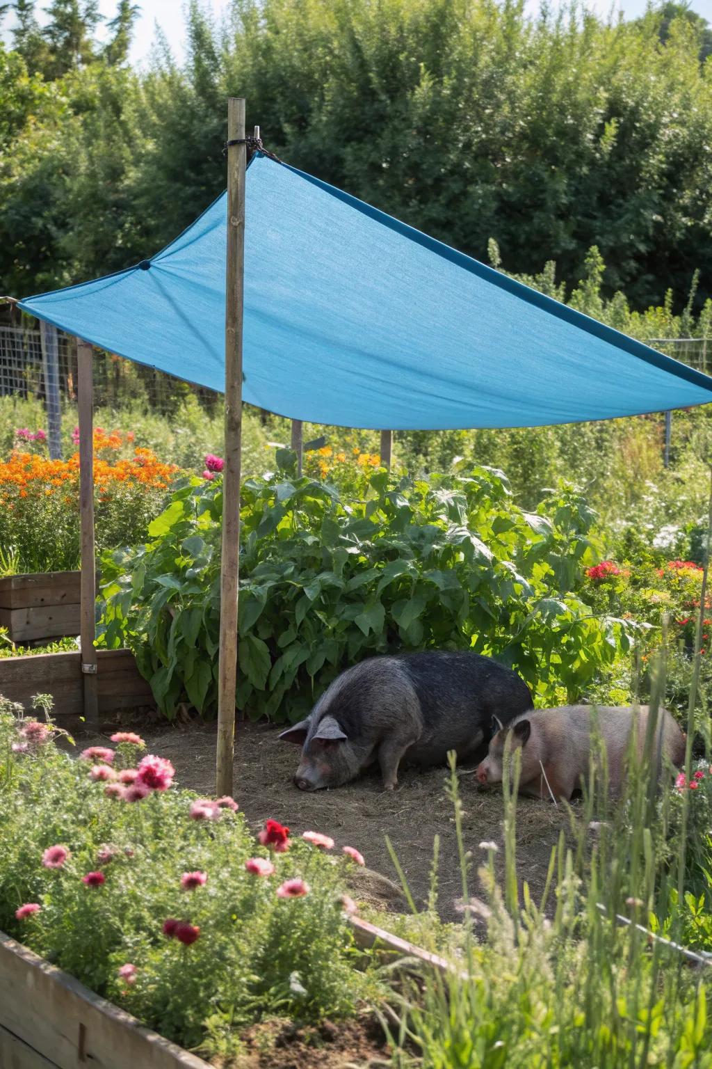 A cleverly shaded enclosure utilizing adaptable shade sails.