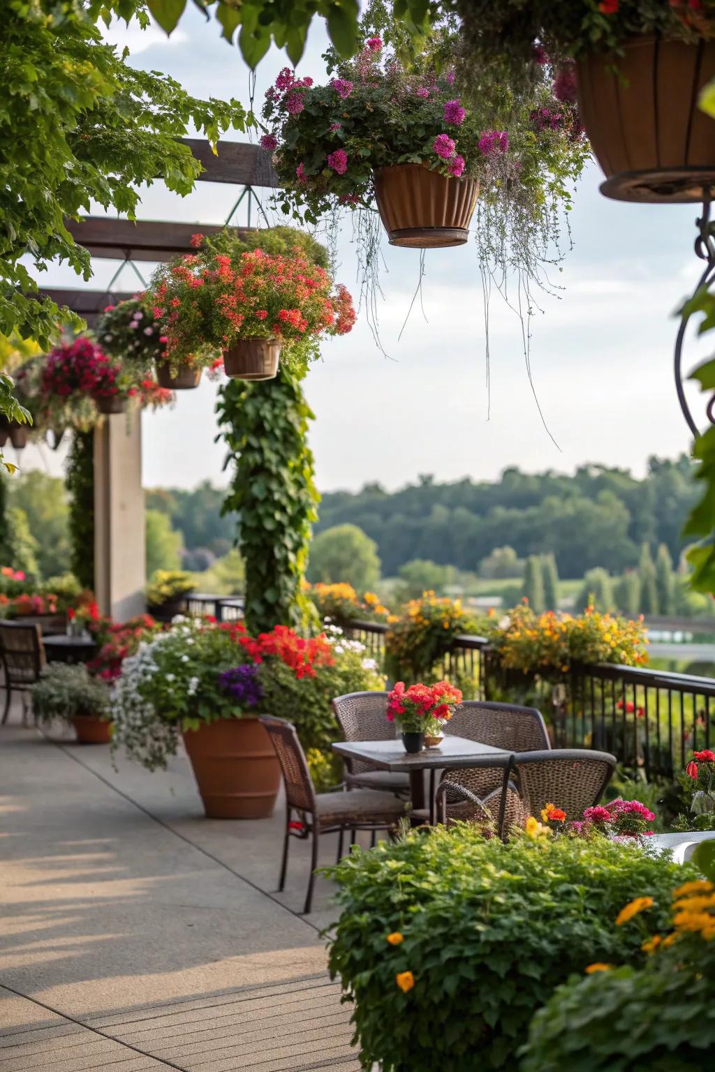 Greenery brings life to your outdoor seating area with natural beauty.