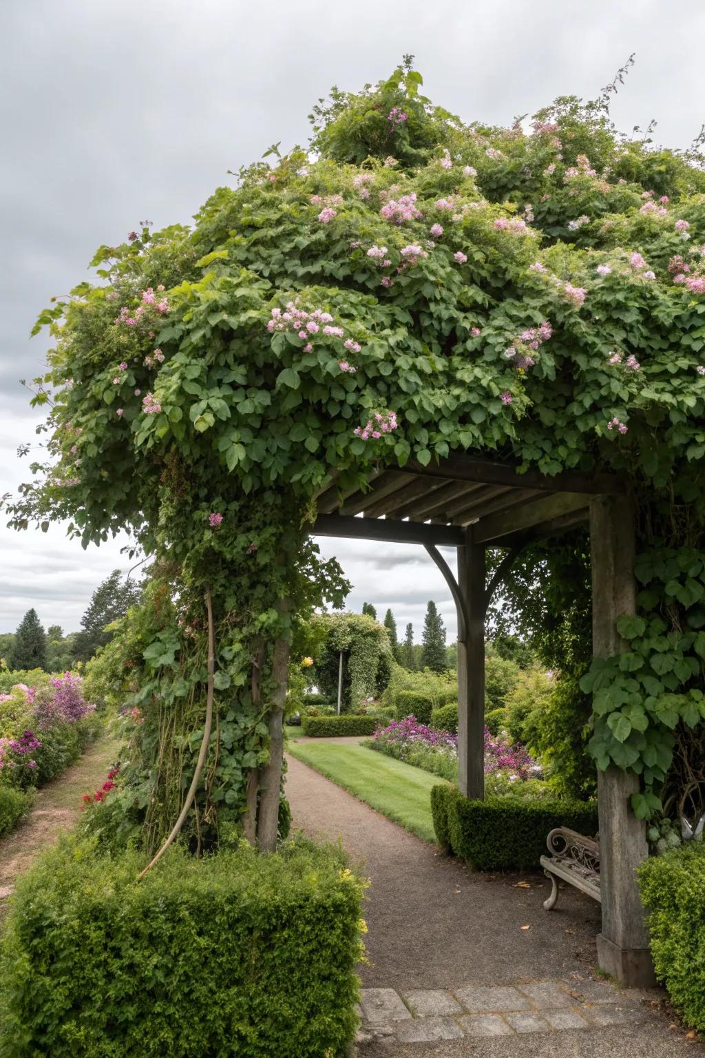 A clematis-covered arbor creates a cool, inviting haven.