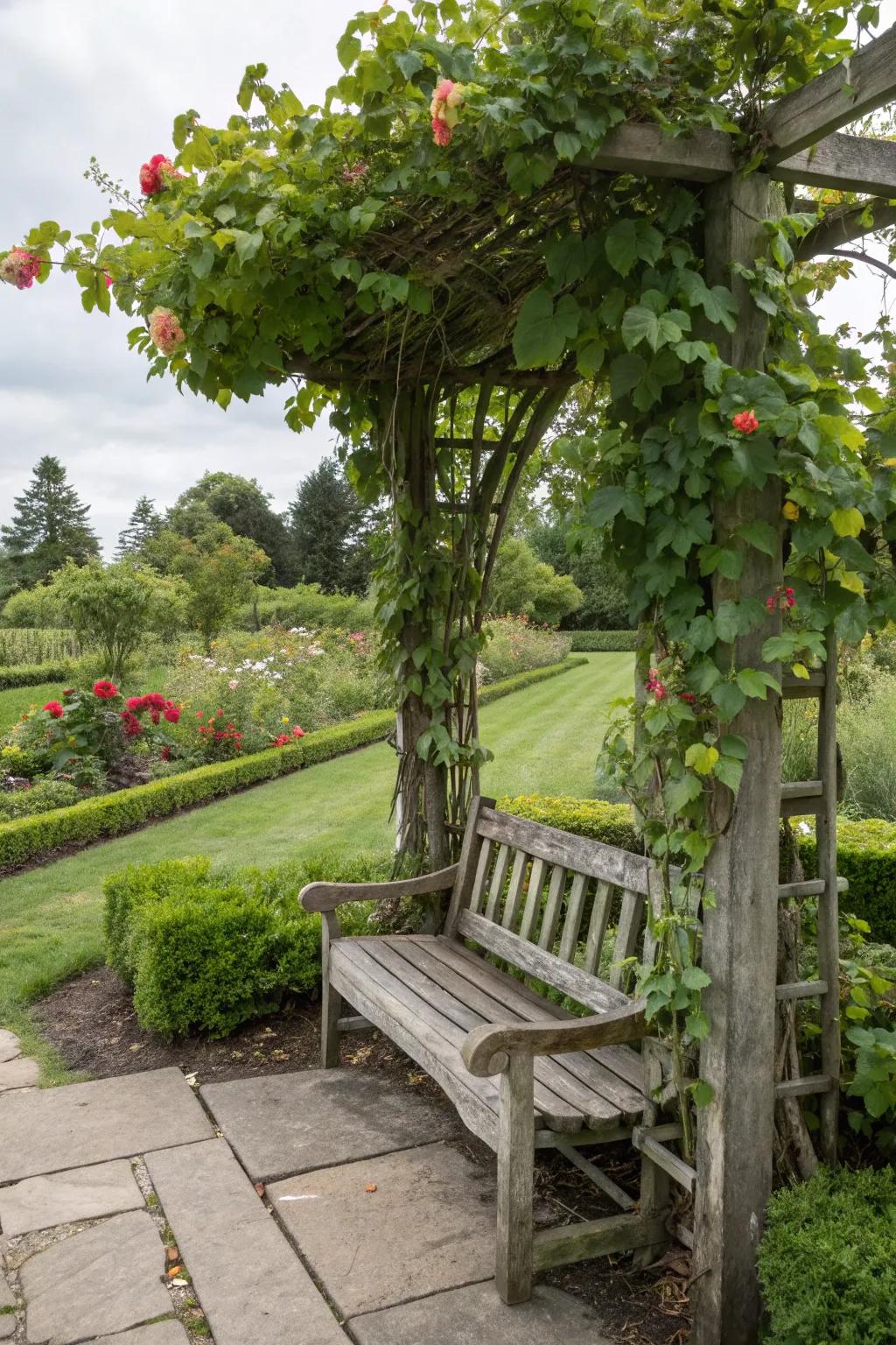 A garden bench with an arbor, inviting nature to wrap around.