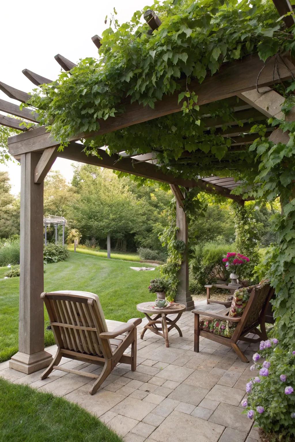 A pergola providing shade and charm.