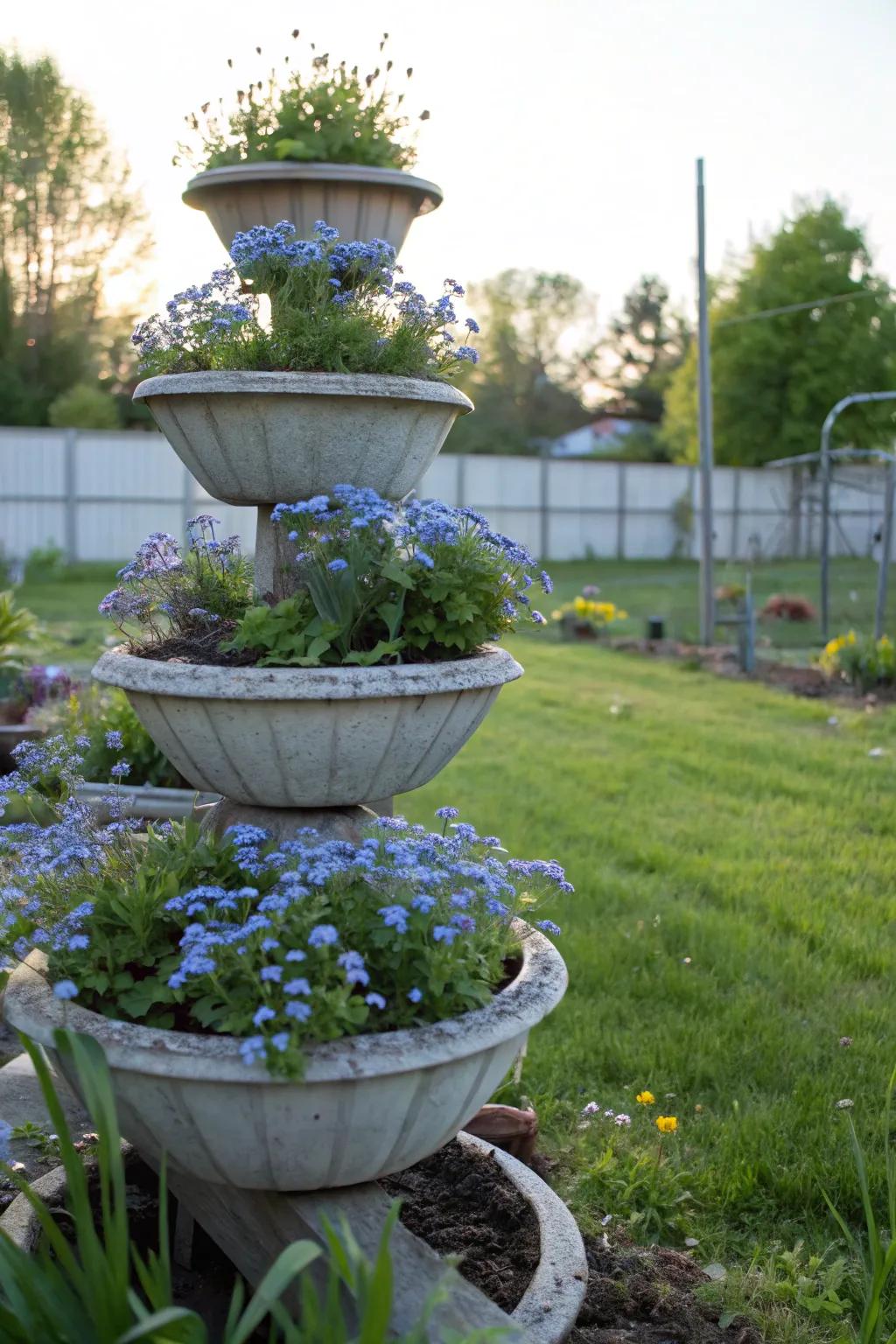 Tiered planters furnish a vertical showcase for forget-me-nots.