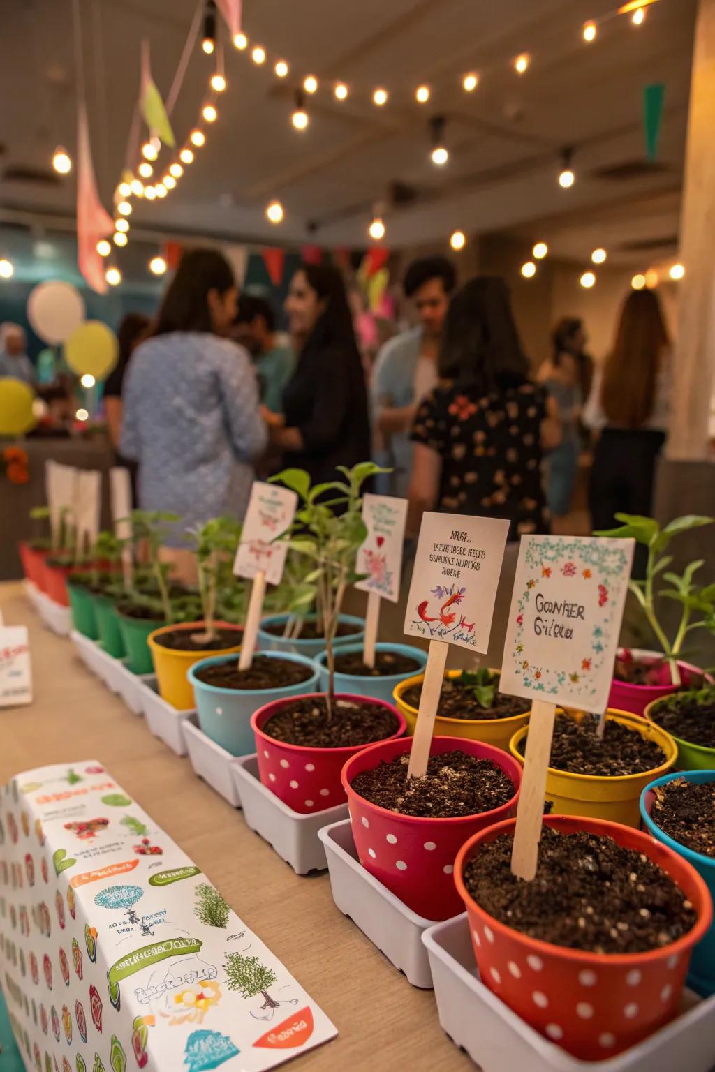 Sustainable plant sets, a present that flourishes over time.