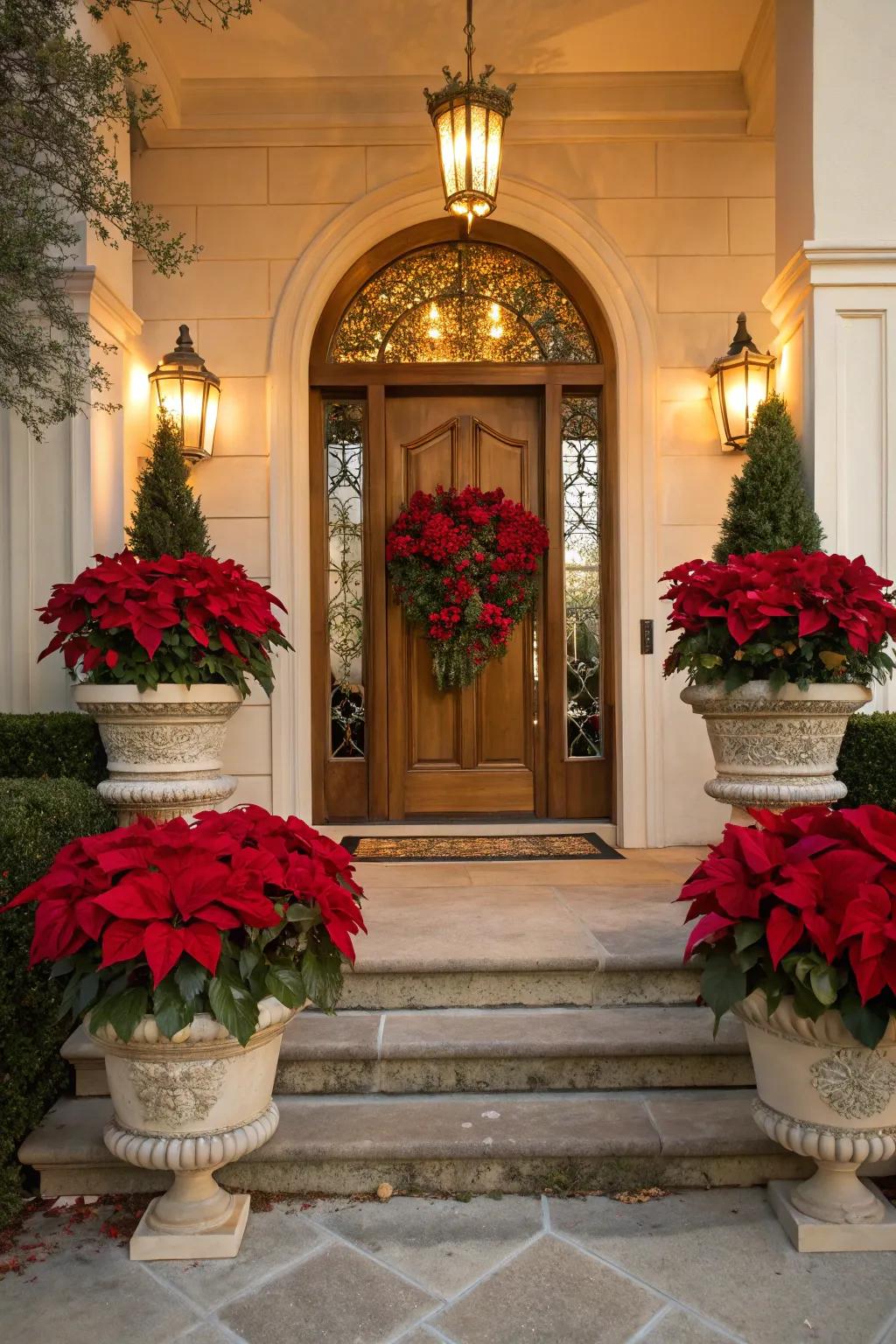 Sophisticated poinsettia compositions for a vibrant entrance.
