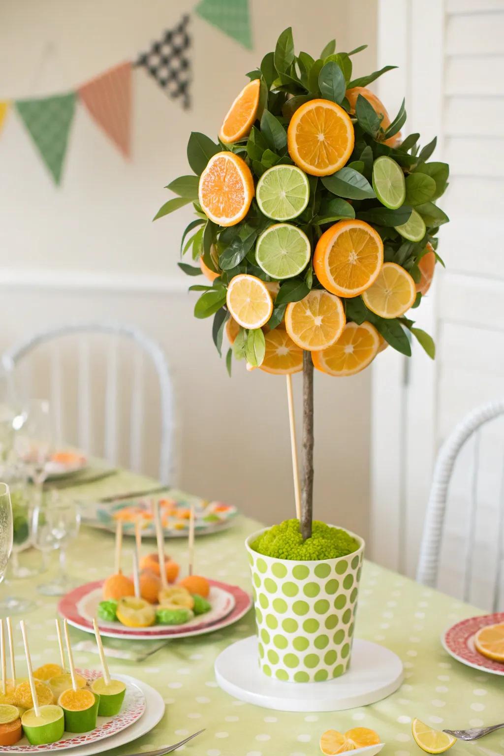 A citrus tree display that’s both fun and interactive.
