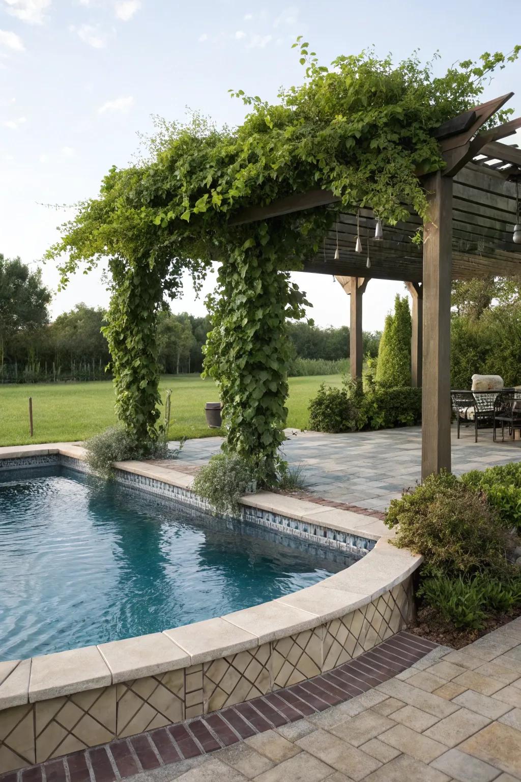 A semi inground pool enhanced by a charming pergola for shade and privacy.