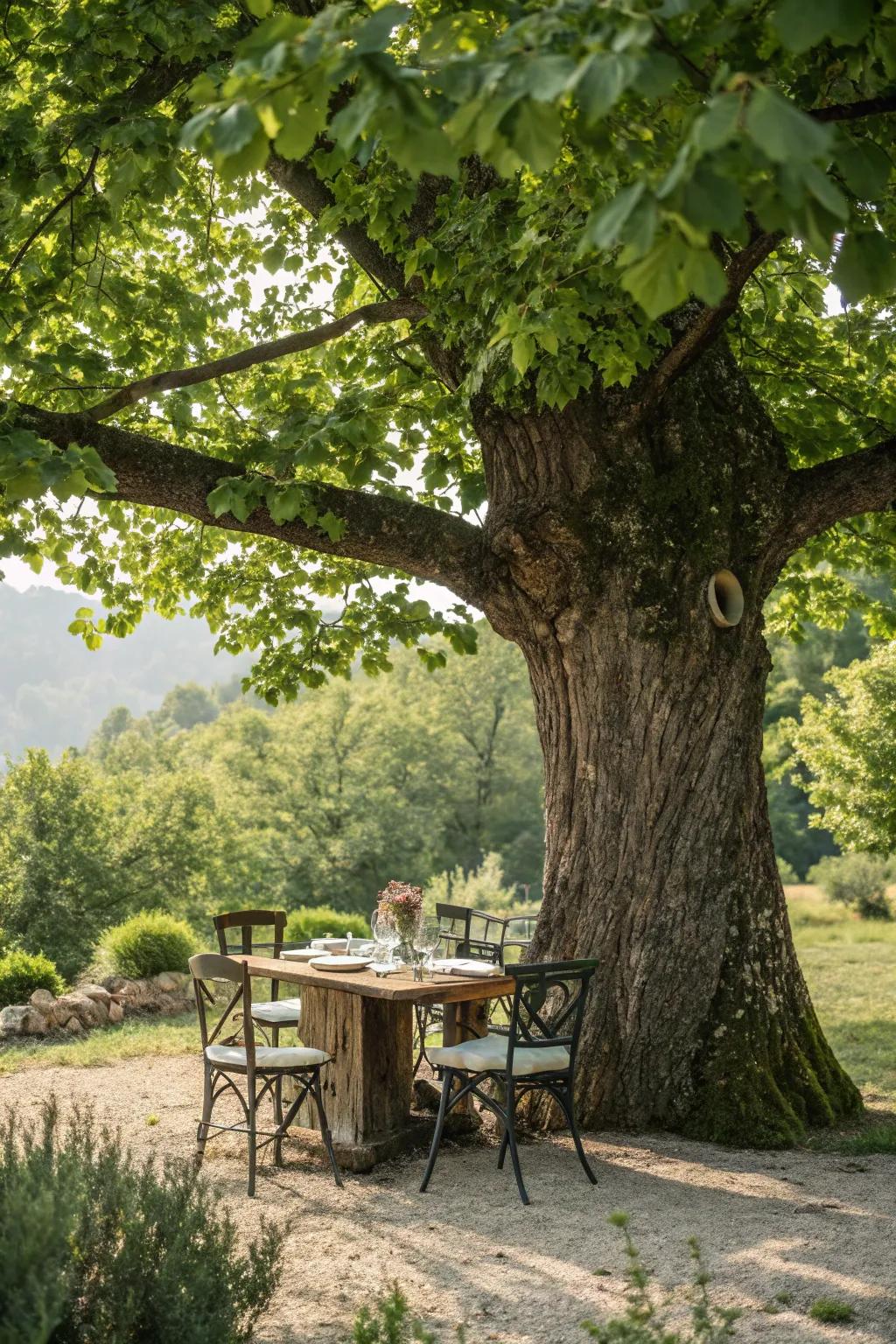A tree-trunk table integrates effortlessly with the outdoor setting.