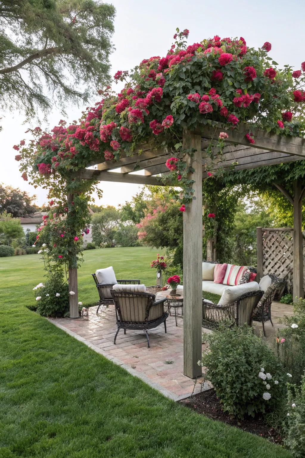 A vine structure offers stylish shade and a hint of romance.