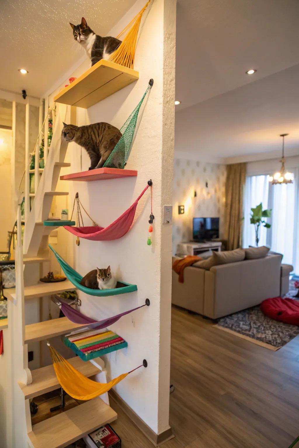 Interactive cat walls for endless fun.