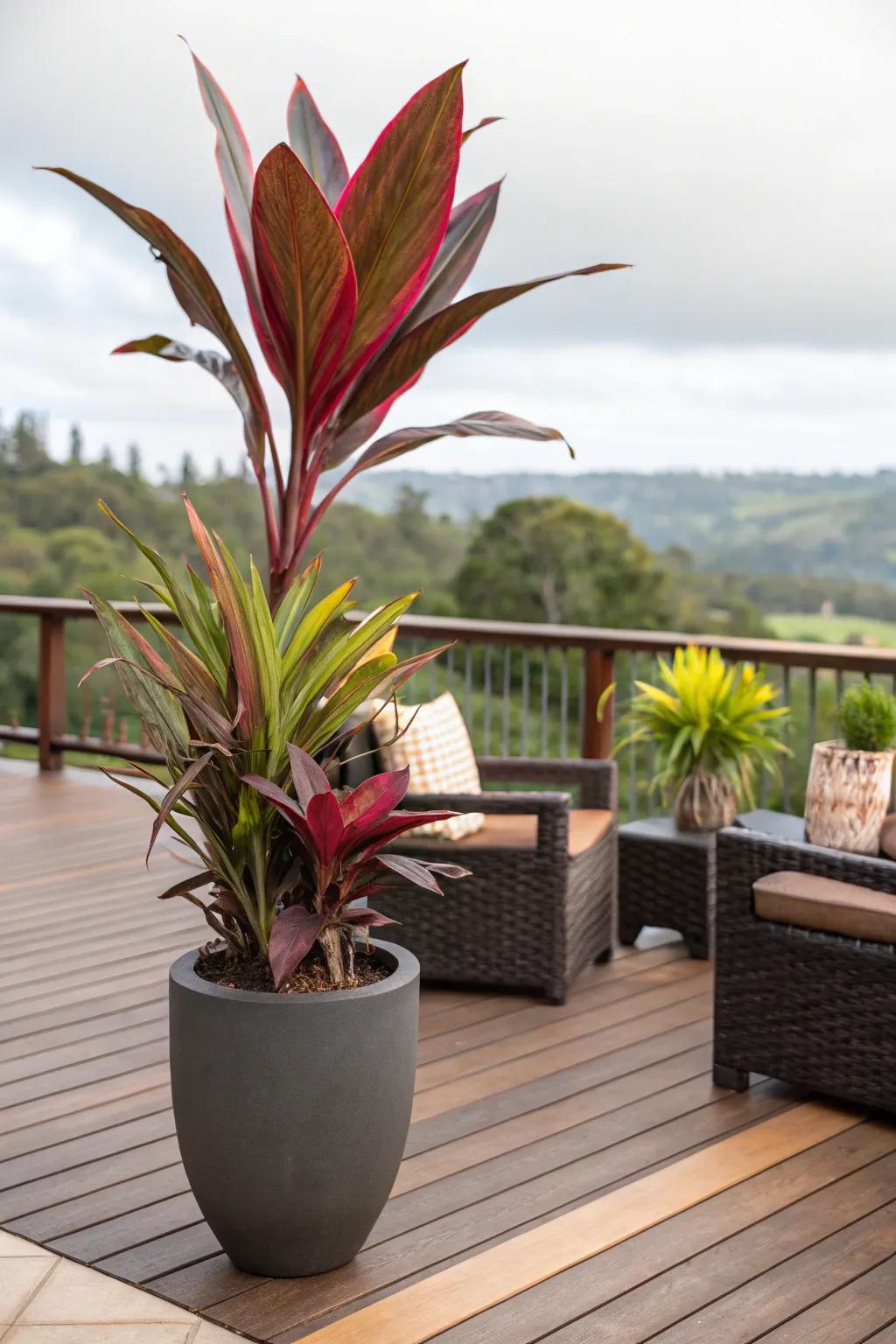 A statement plant creates a stunning focal point.