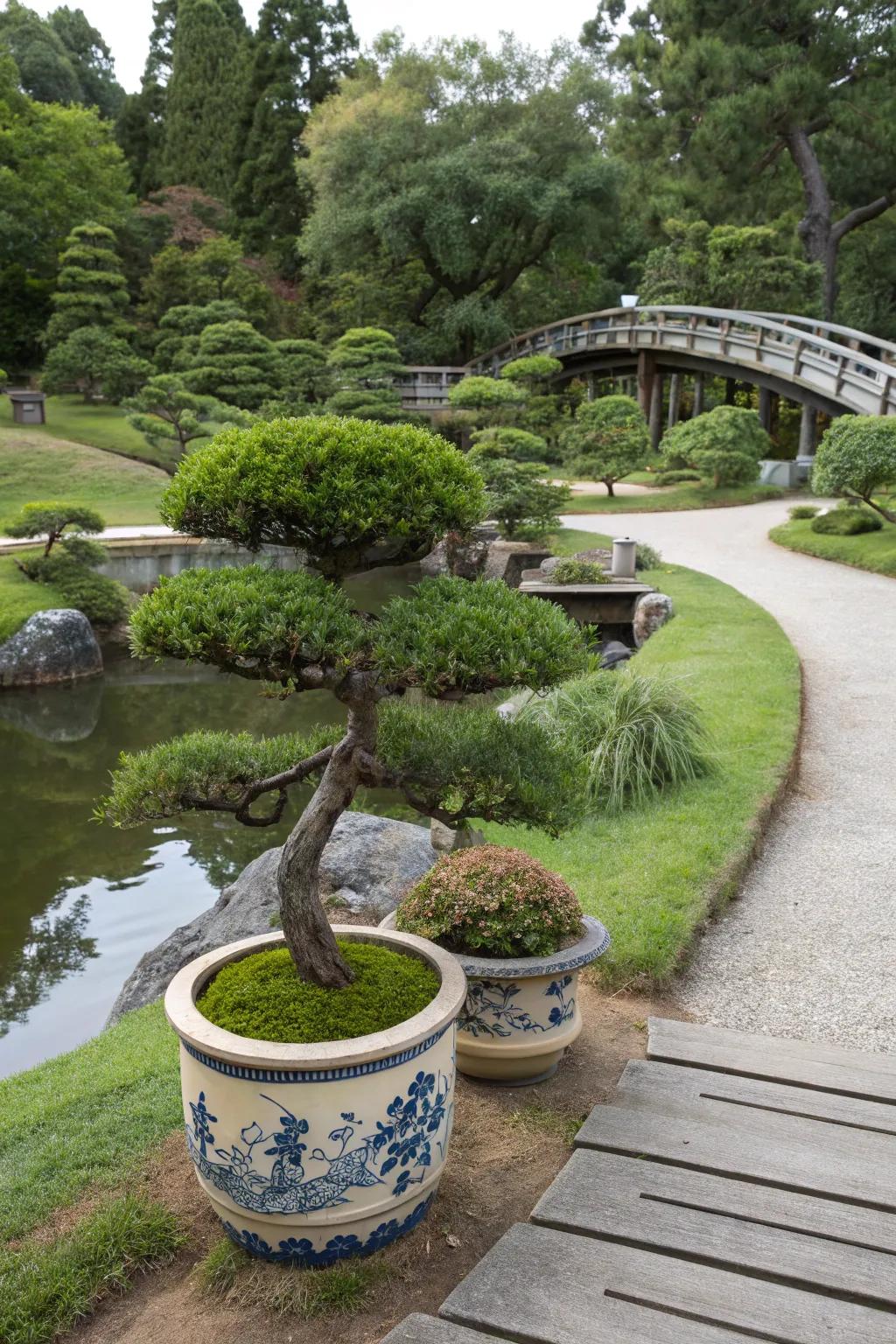 Sculpture trees in pottery containers in a Japanese garden.