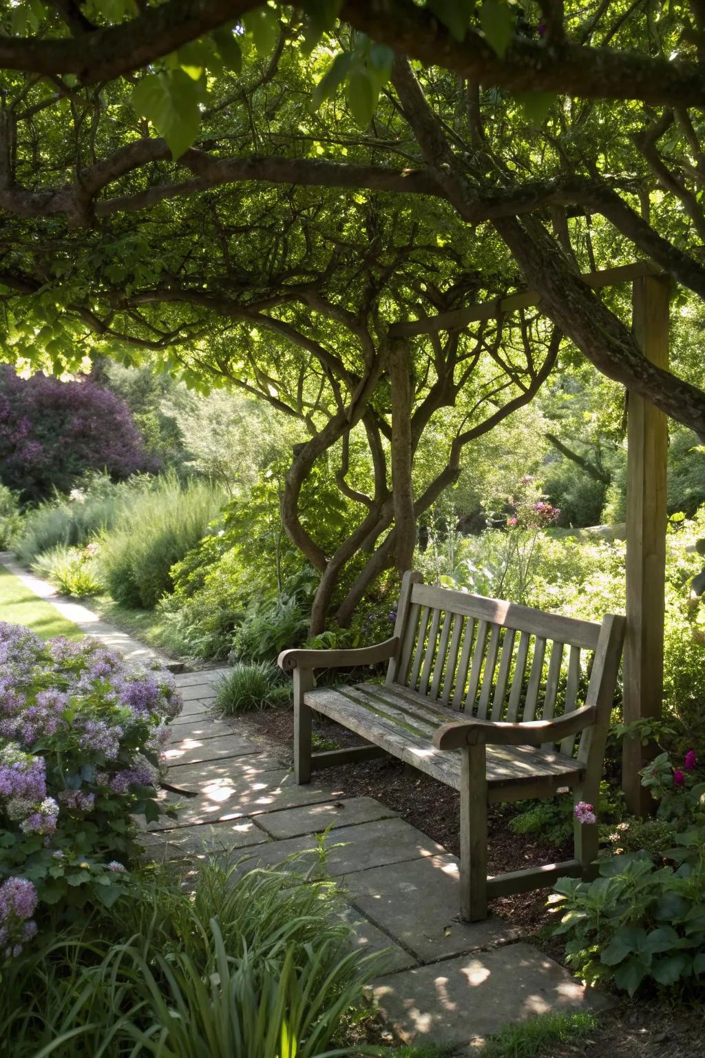 A creative bench with tree branches as natural supports.