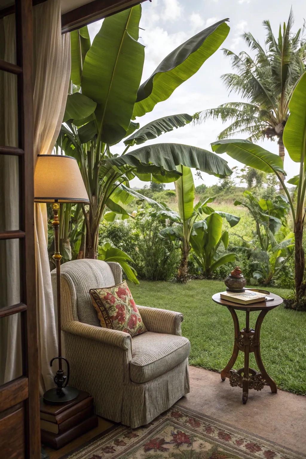 Escape into a good book in a lush reading corner surrounded by banana trees.