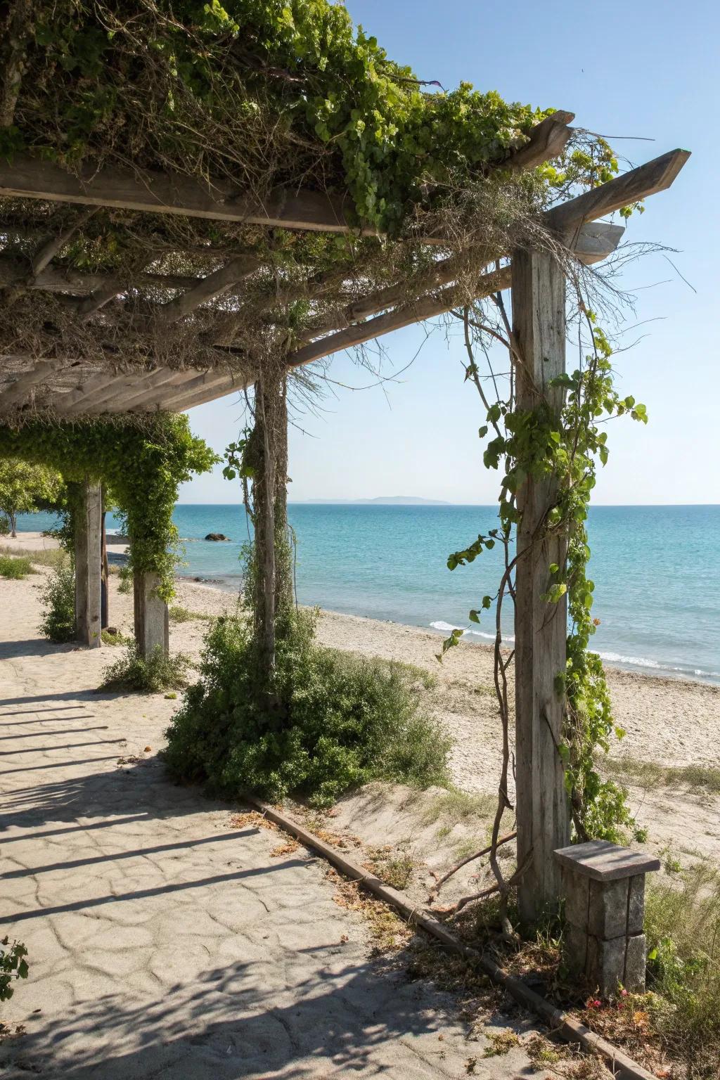 A fashionable pergola offering shade and a spot to unwind.
