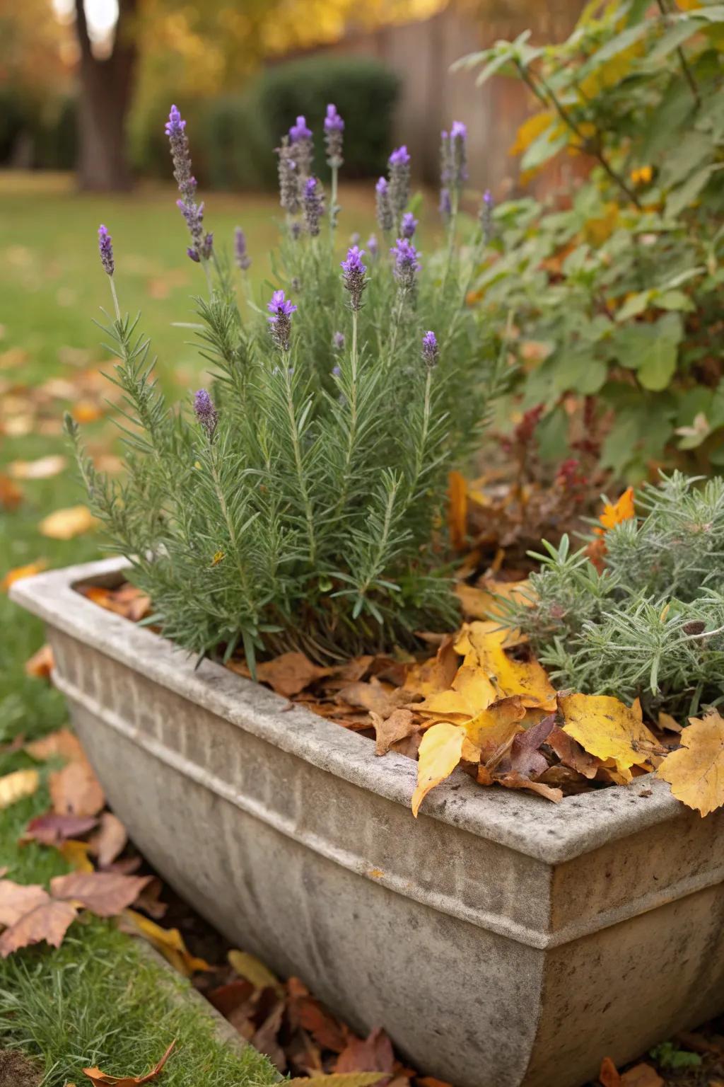 Aromatic plants create an inviting atmosphere.