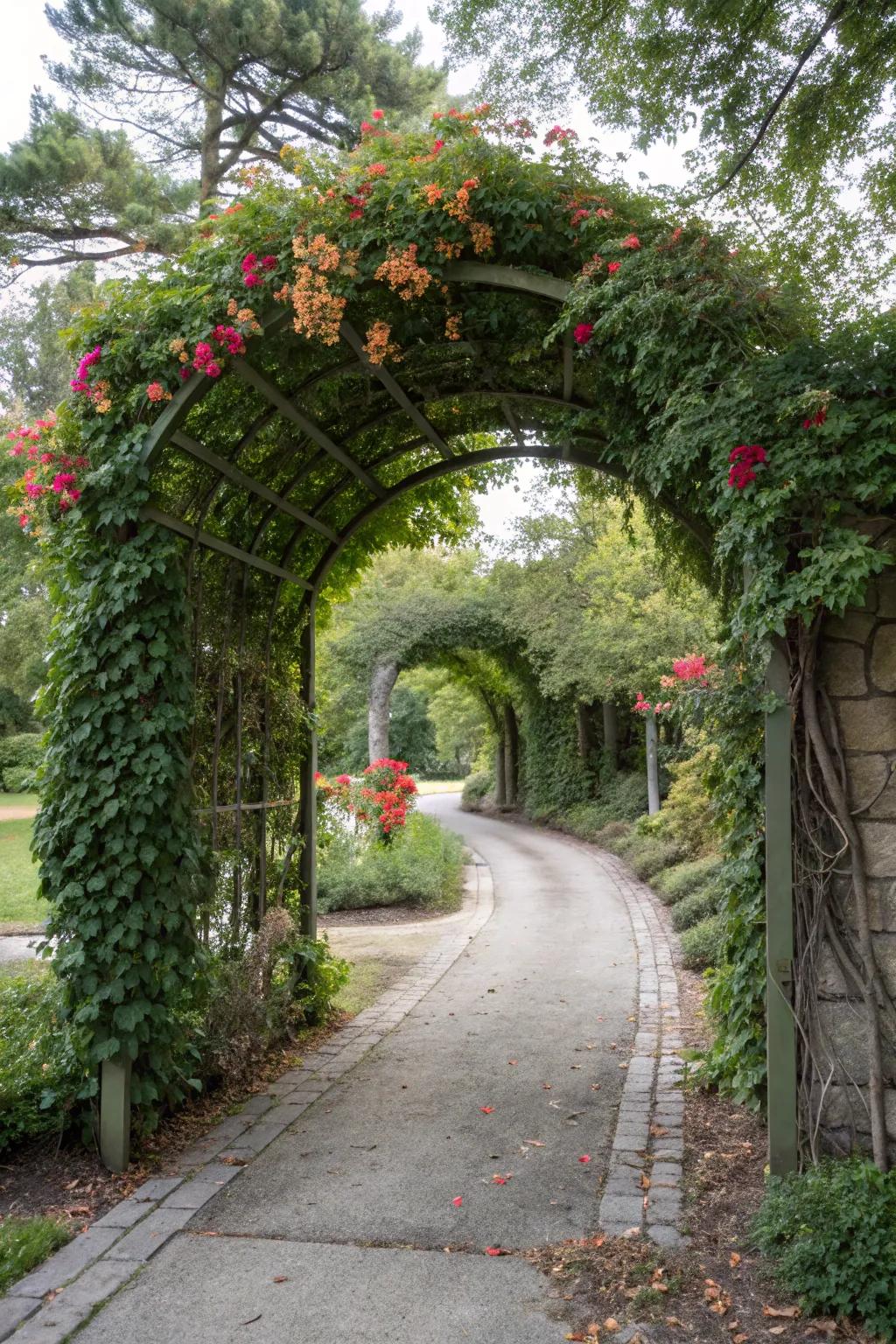 Climbing plants on arches create a romantic, grand entrance.