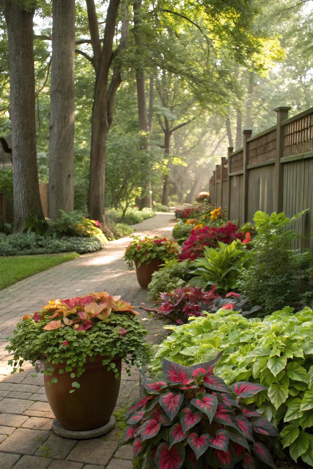 Potted plants offer versatility and bursts of color.