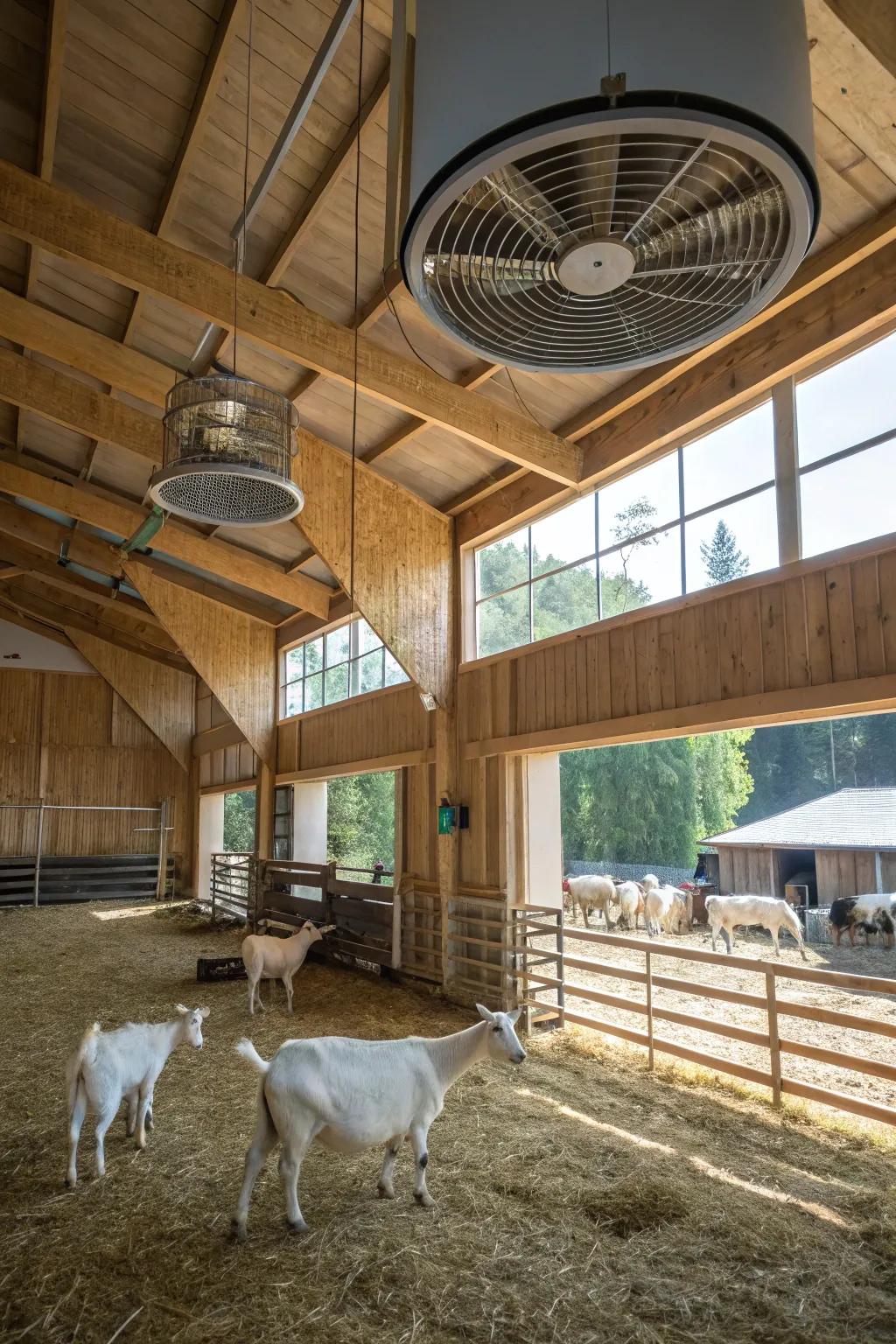 Creative airflow keeps the air fresh in this goat barn.