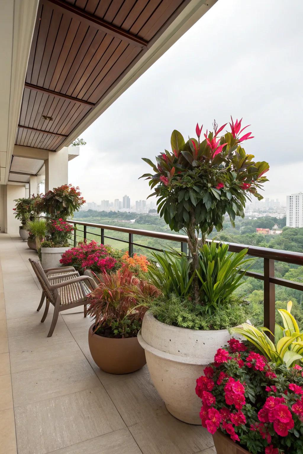 Transform your space into a lively urban oasis.