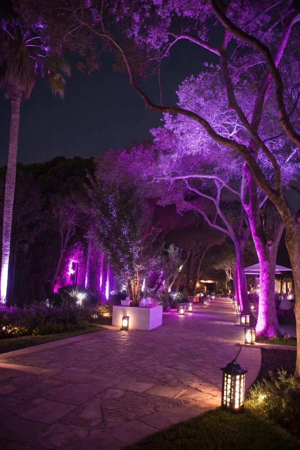 An enchanting outdoor area illuminated with violet-themed illumination.