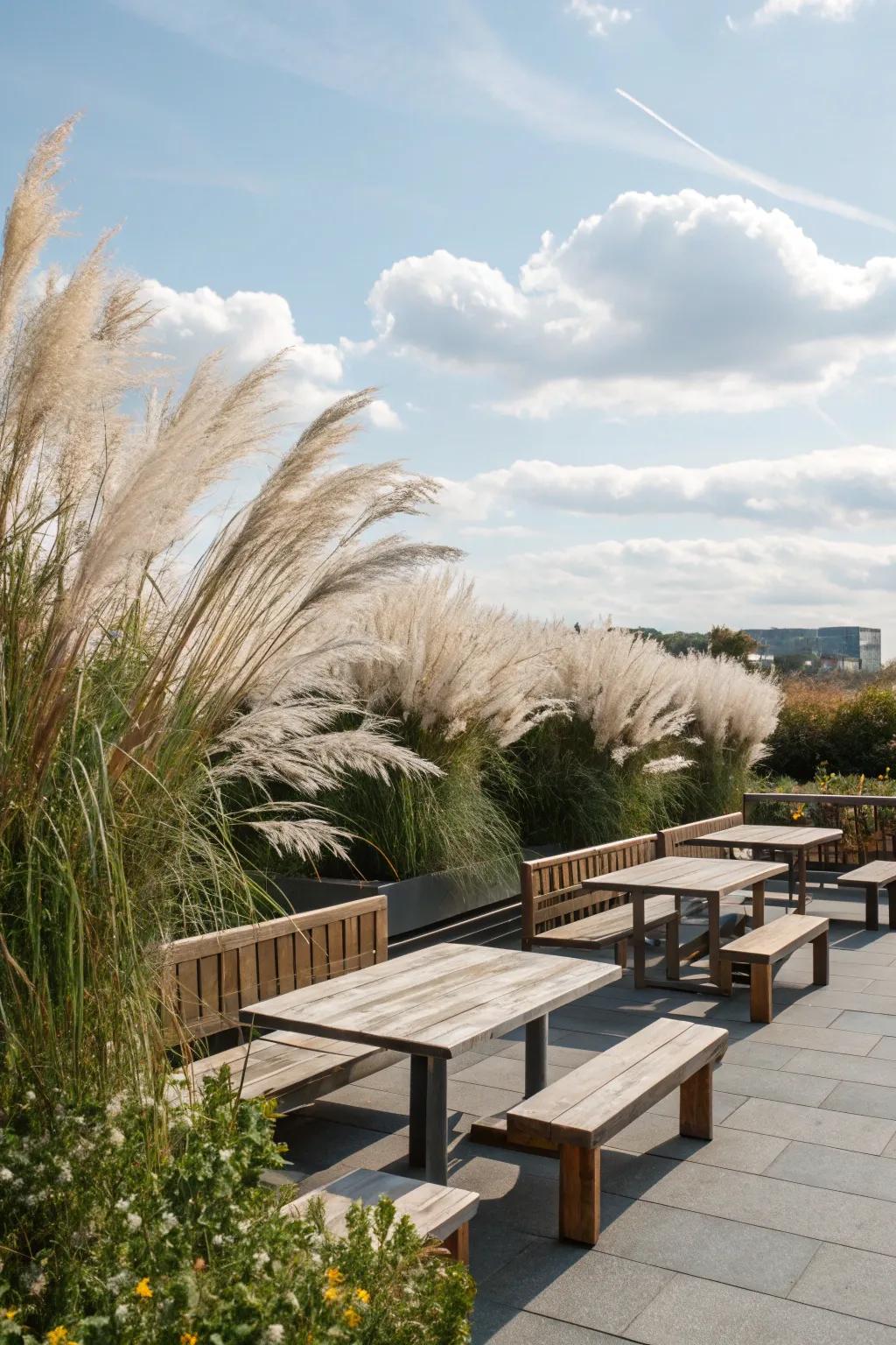 A light, breezy screen of grasses enhances outdoor seating areas.