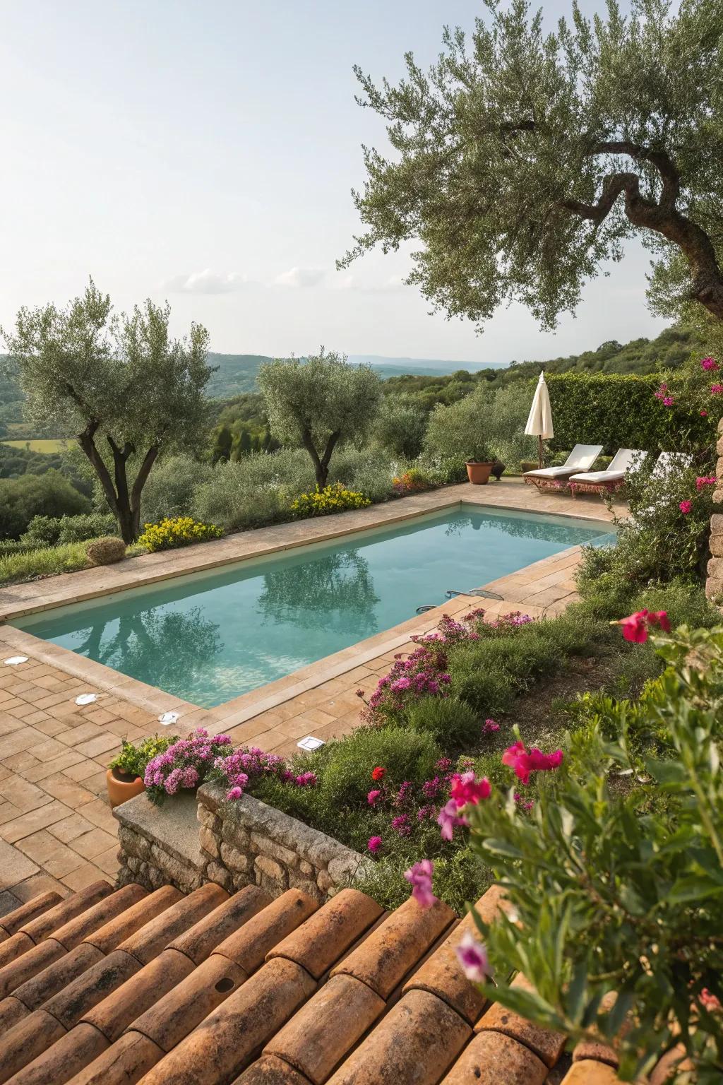 A pool pond presenting a Mediterranean-inspired design.